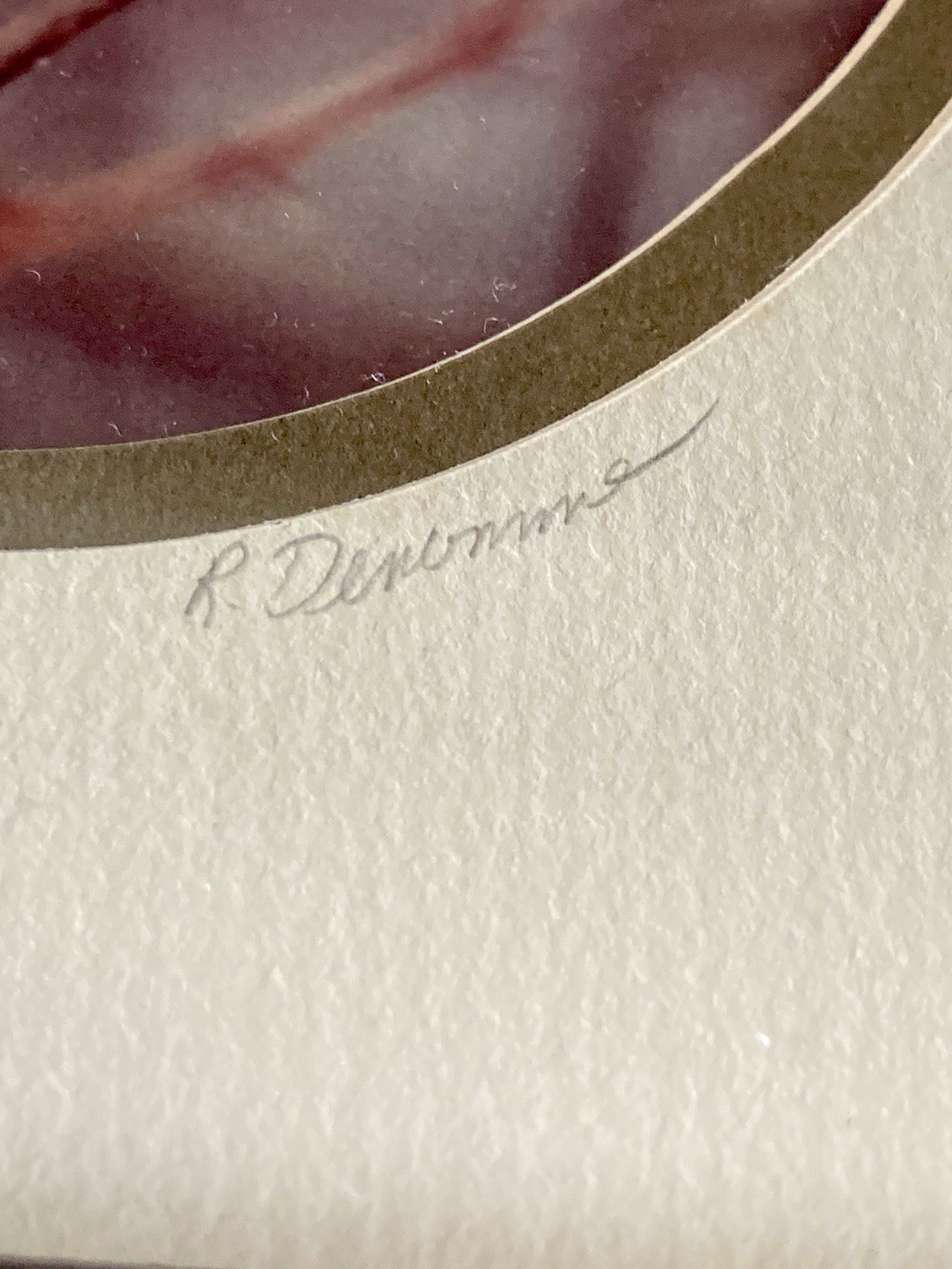Rick Denomme Bird Photography Set of 4 Framed Cardinal Chickadee Titmouse Signed