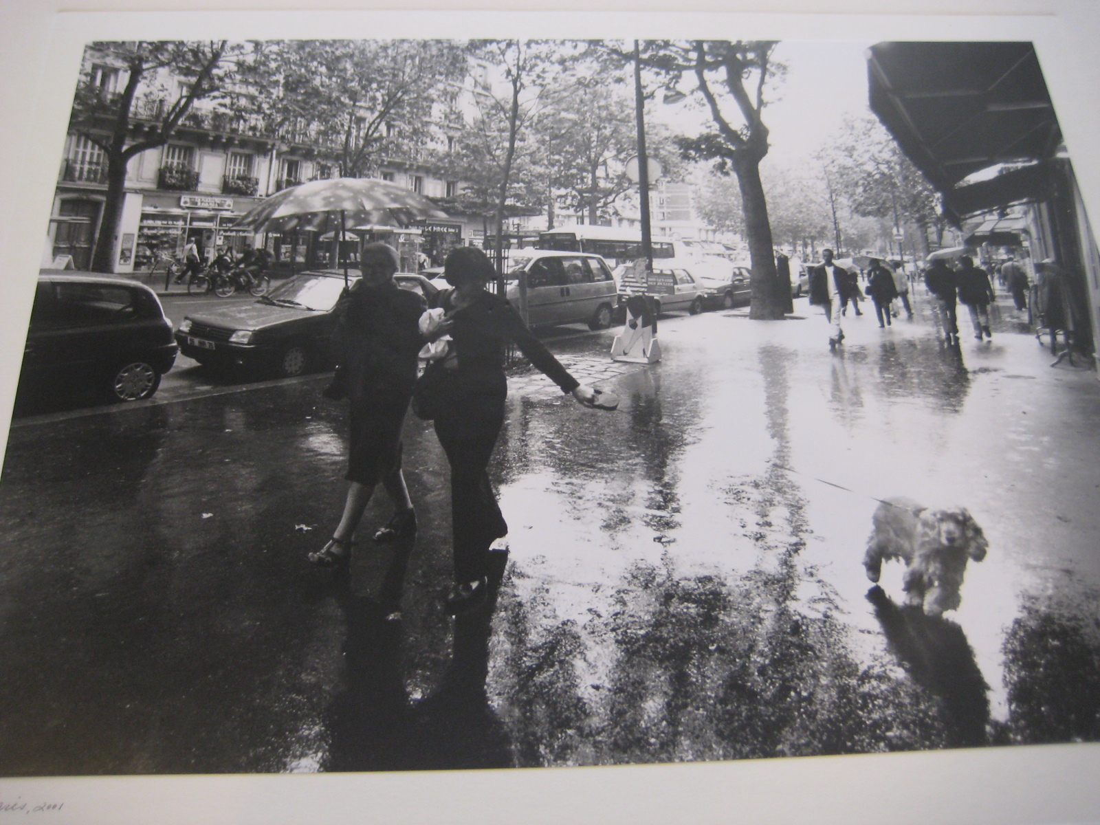 “Paris, 2001” Rainy Paris w/dog Photograph, Signed by G. Linja (?)