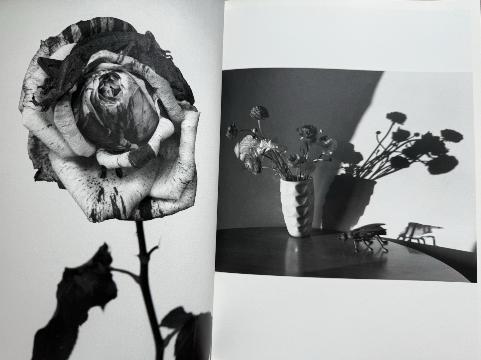 🎈SIGNED w Drawing! Nobuyoshi Araki – HANA-JINSEI, 2002 Japan Limited Ed, Unique