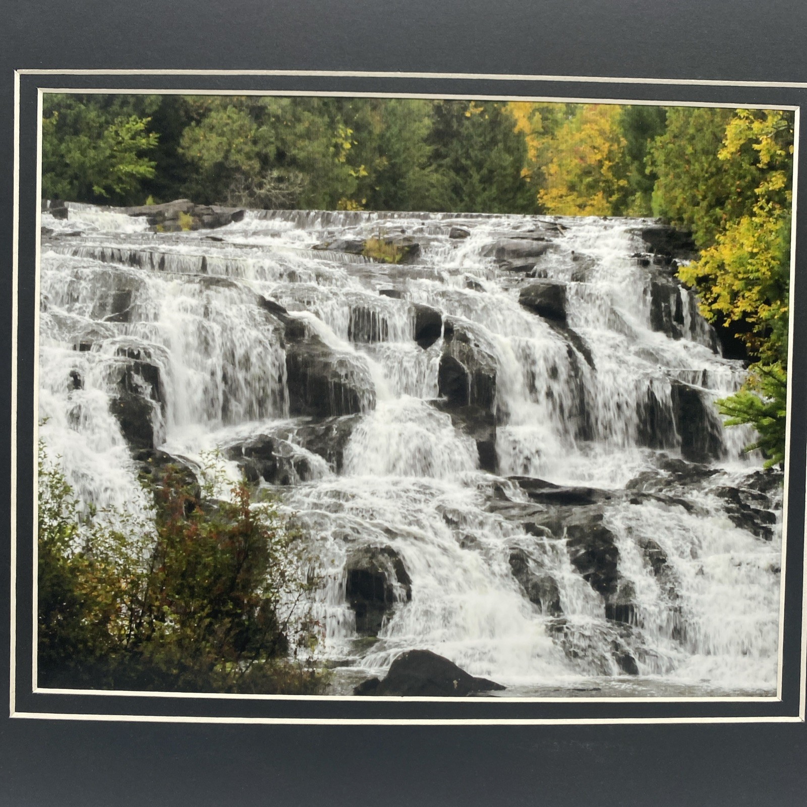 Matted River Forest Landscape Photo Print 11 X 14 Wall Art Gallery Decor