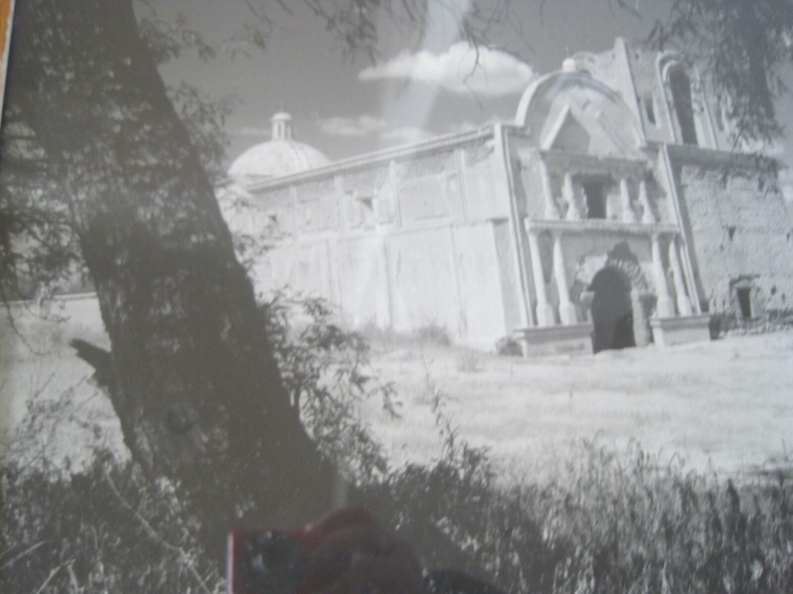 Chuck Abbott Photo Black & White Architecture Church w/ Large Tree 16″ x 20″