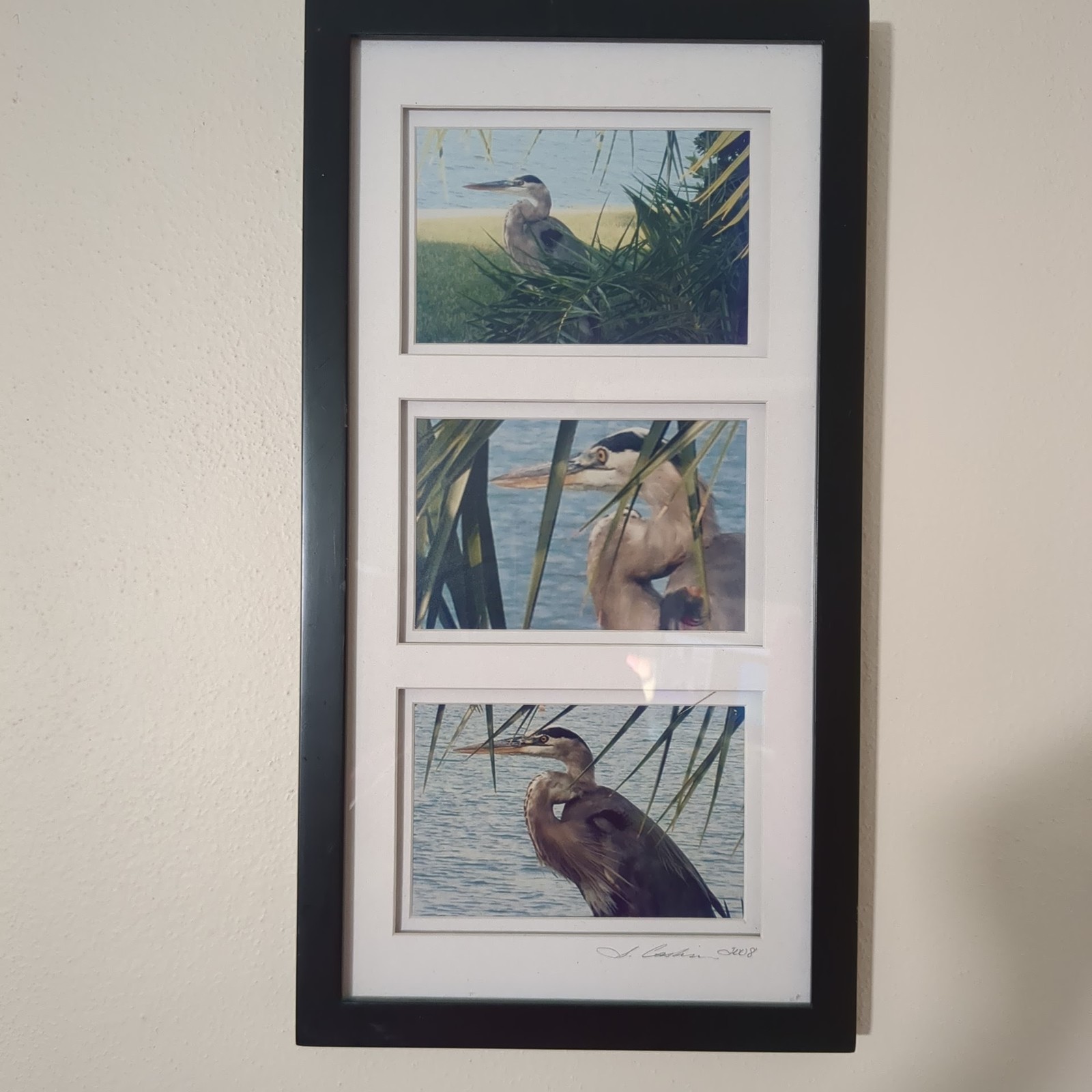 Great Blue Heron Art Prints Framed Signed S. Gooch 2008 Vertical Wildlife Wall