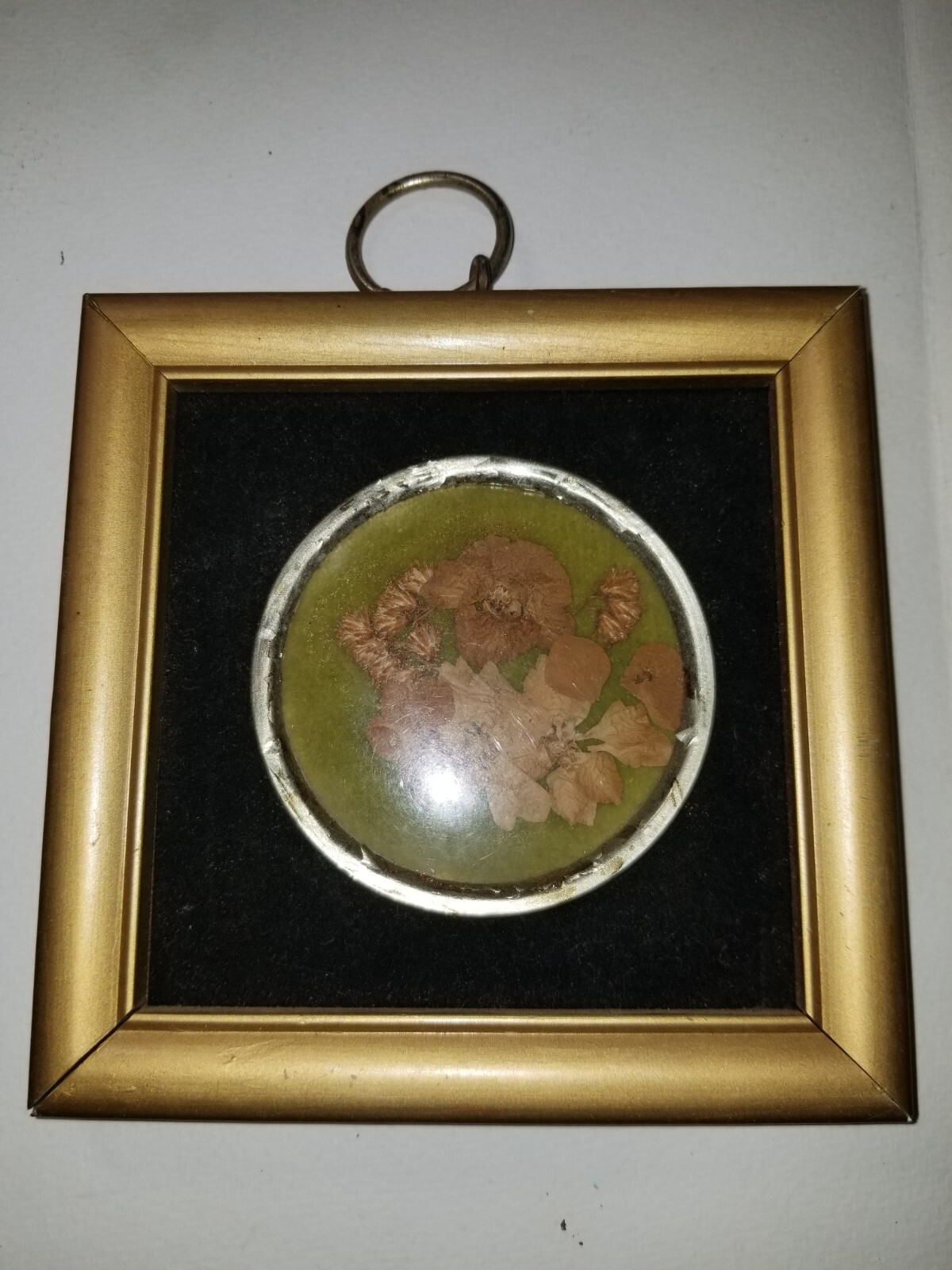 2 Real Virginia Flowers Hopkins Designs Moon Va Flowers 4.5×4.5 in