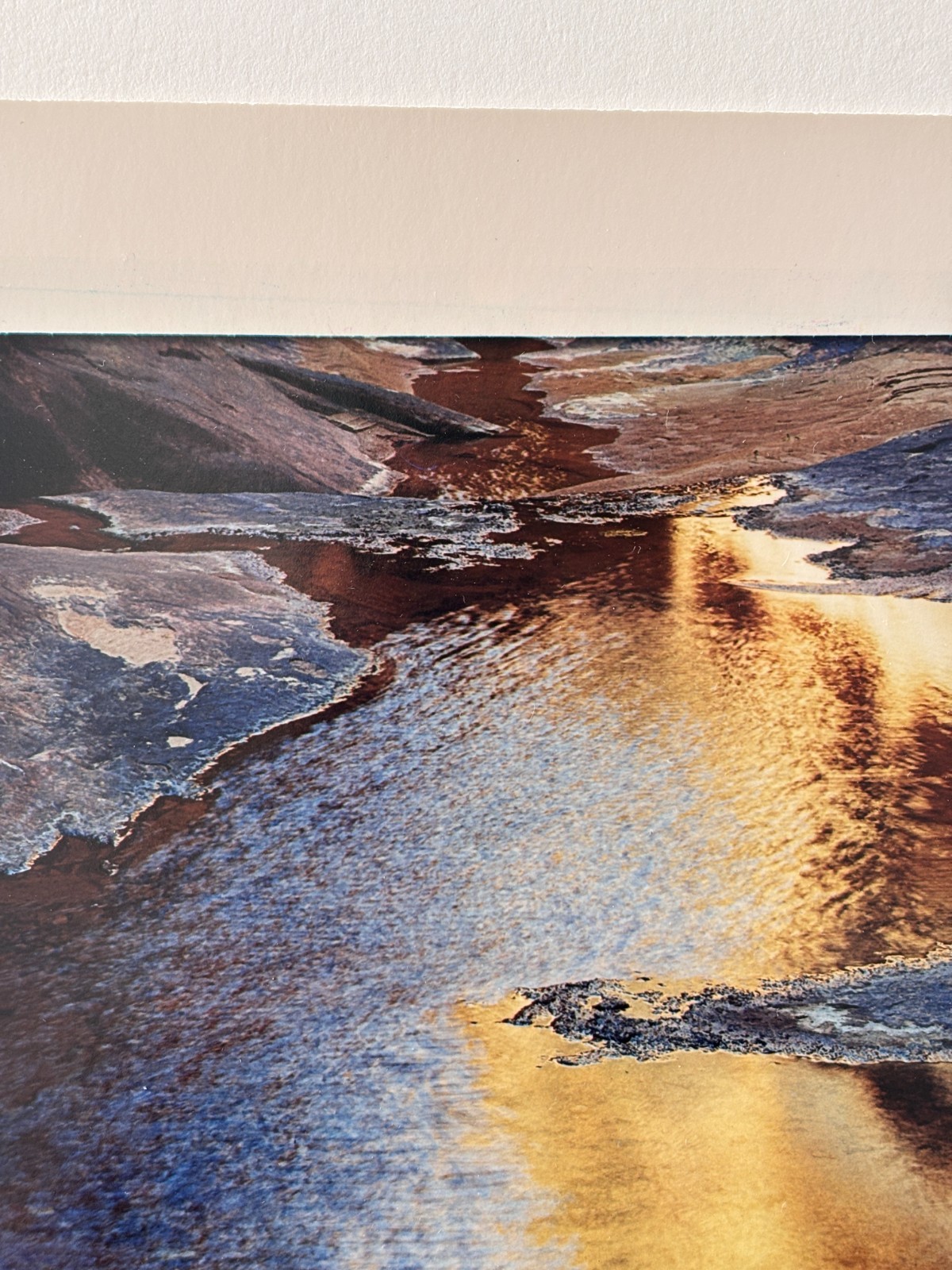 ELIOT PORTER “River edge at sunset, below Piute Rapids” (1962) Signed C-Print