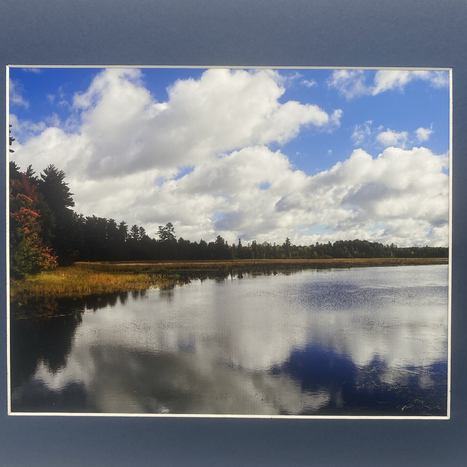 Matted Lake Forest Landscape Photo Print 11 X 14 Wall Art Gallery Decor