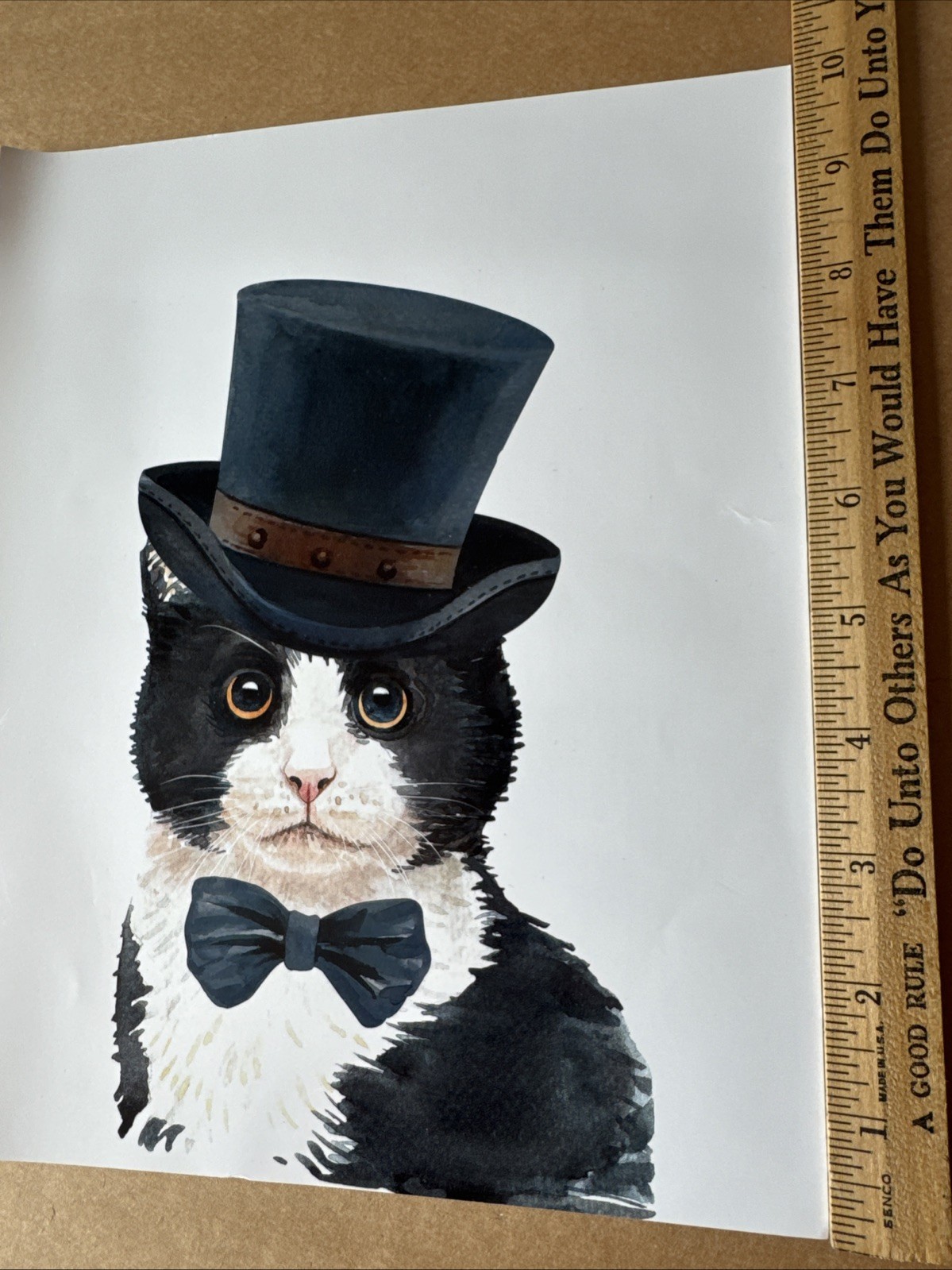 Tuxedo Cat 8 x 10 Photograph Photo Picture Art Print Wall Hanging – free US ship