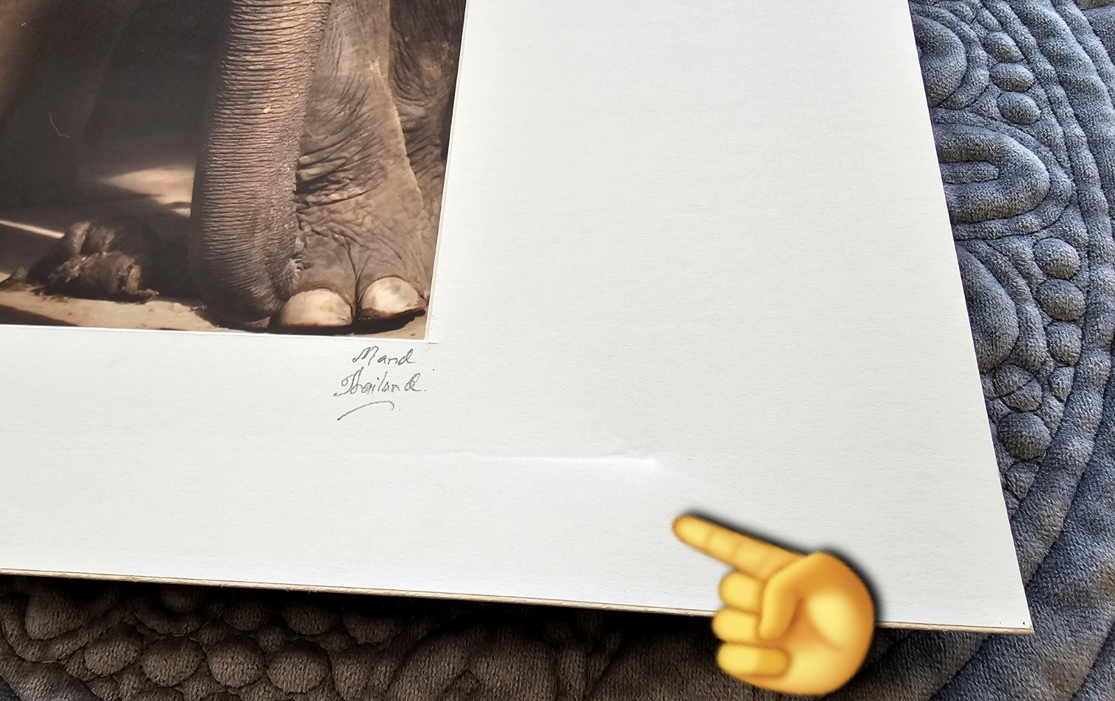 Heartwarming Photograph Baby Elephant Holding Plumeria Flowers, Thailand, 16×16″