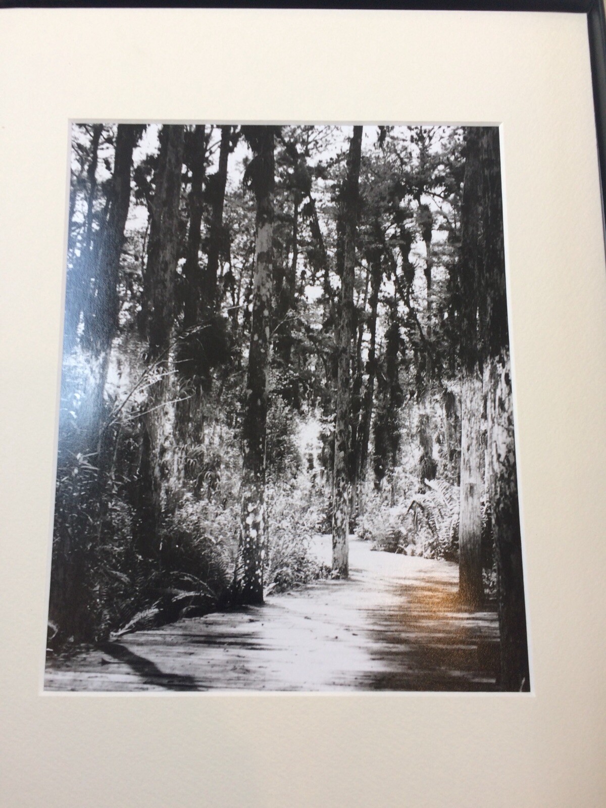 Robert Bery Angels in the Forest – Portfolio of 7 original photographic prints