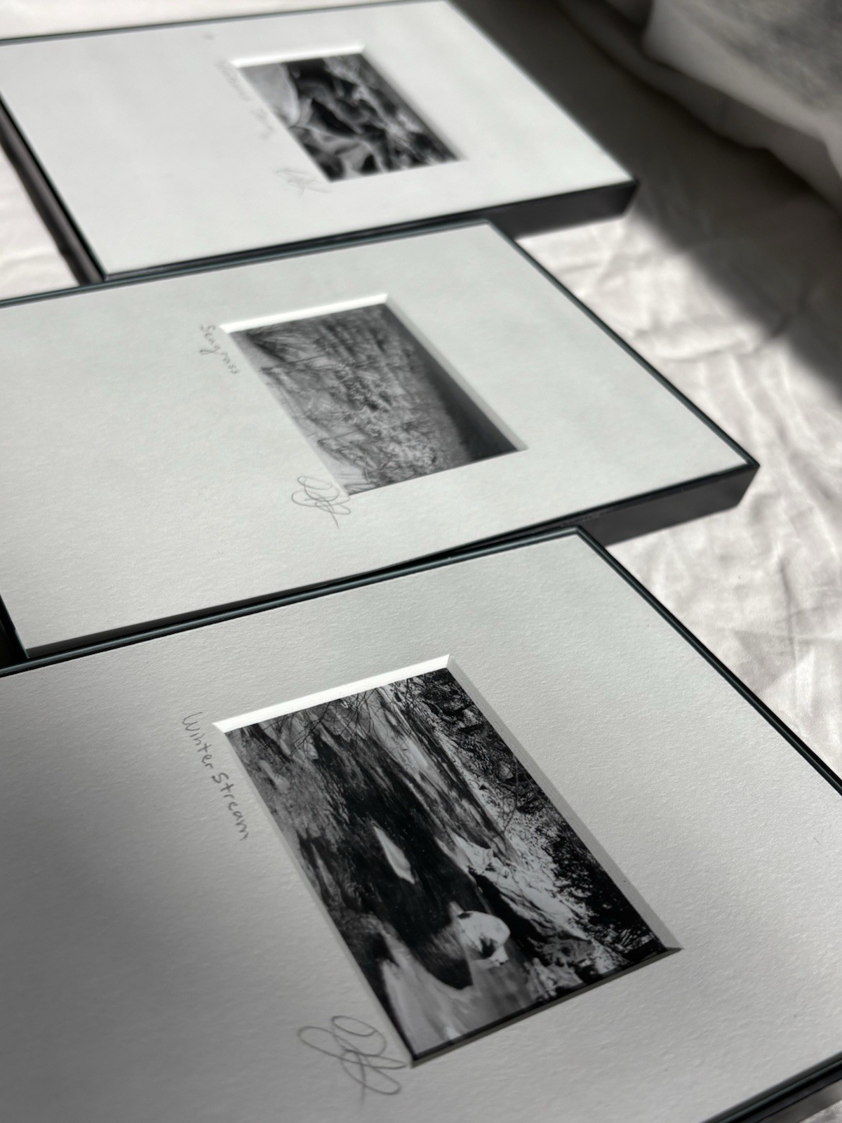 3 Black & White Minimal Modern Framed Photo Art Nature Titled Artist Signed