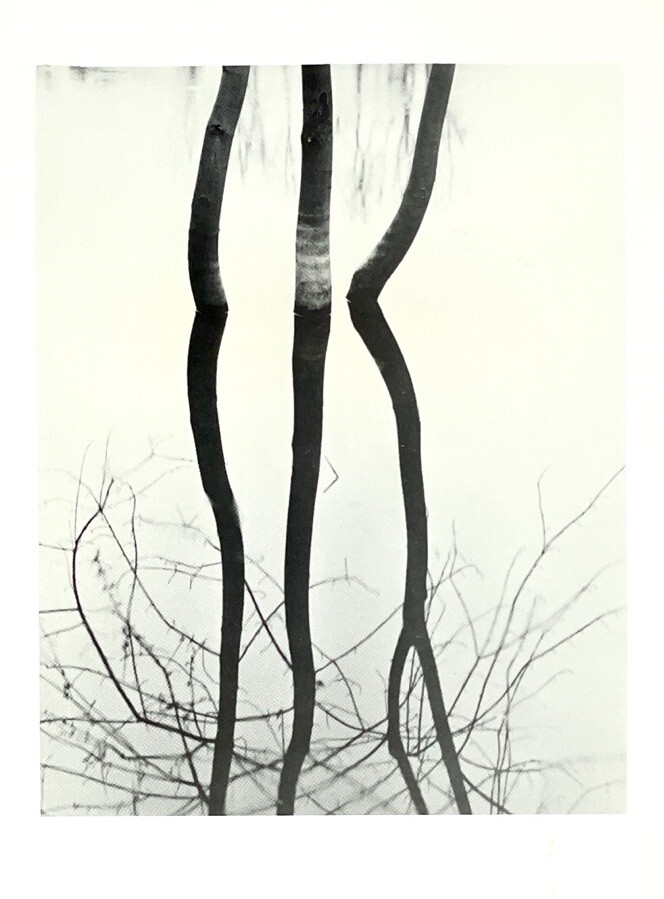 Koichiro Kurita (b. 1943) Art Announcement Card 1991 – Recent Landscapes