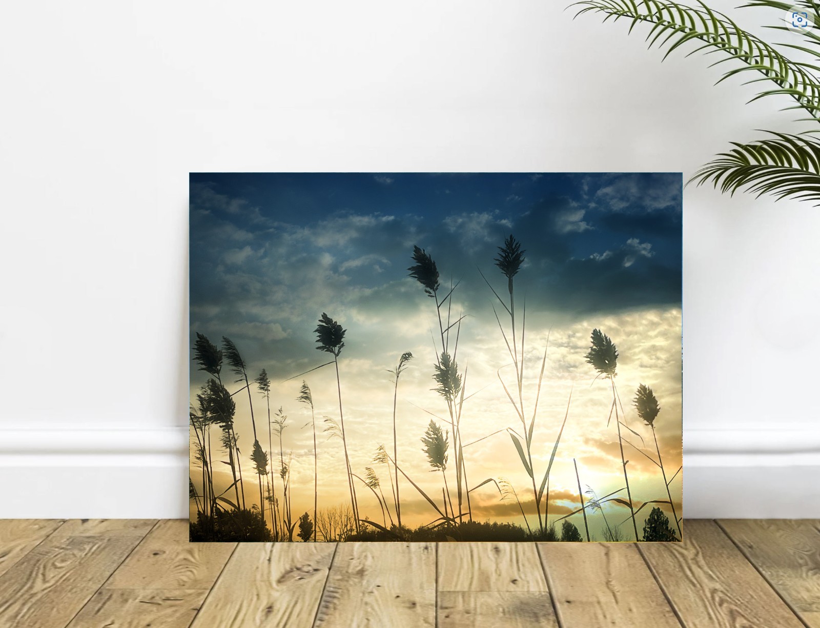 Blooming Cattails Willows Silhouette Sunset Beige Gold Blue Abstract Art Photo