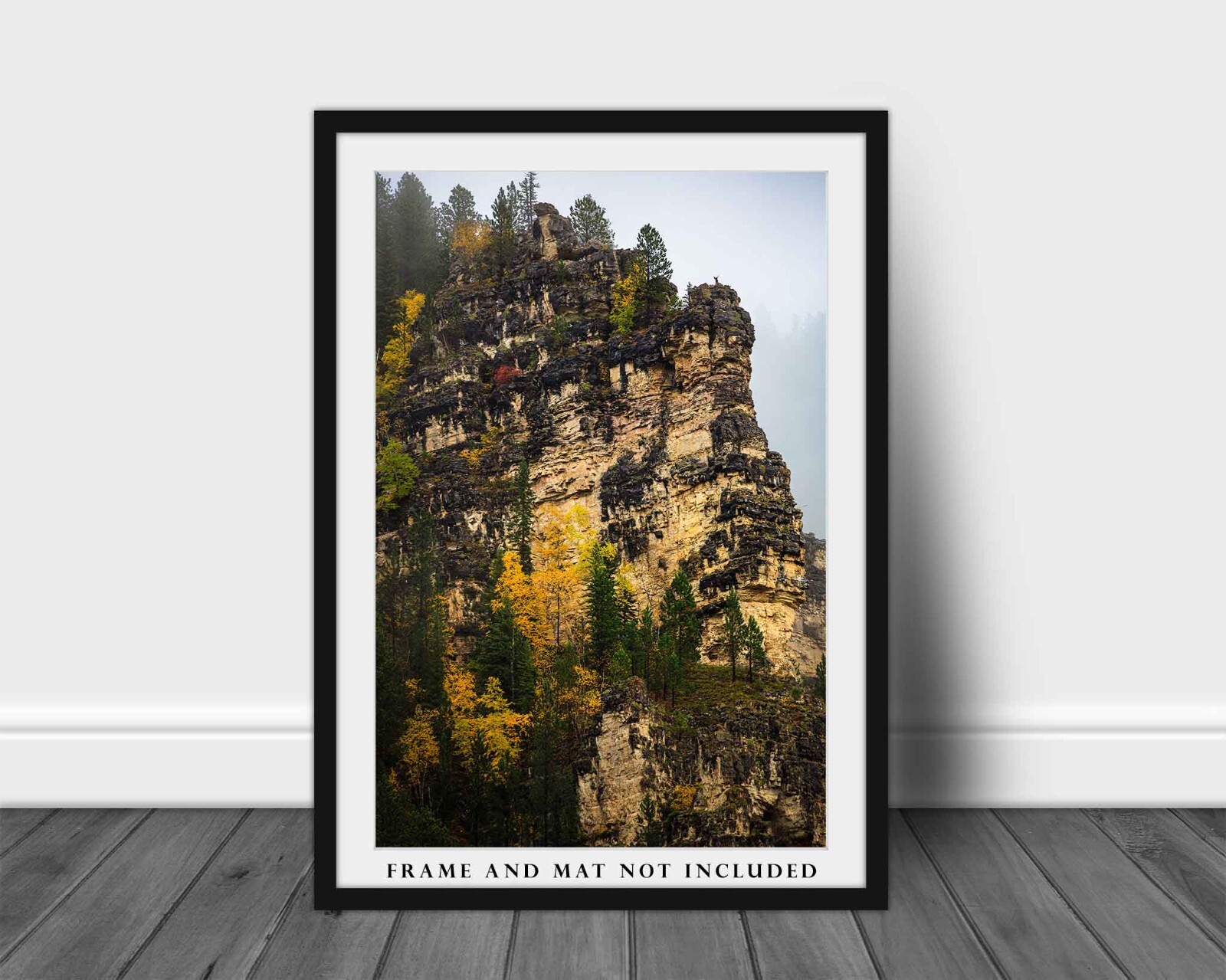 Spearfish Canyon Photography Print: South Dakota Black Hills Landscape Photo