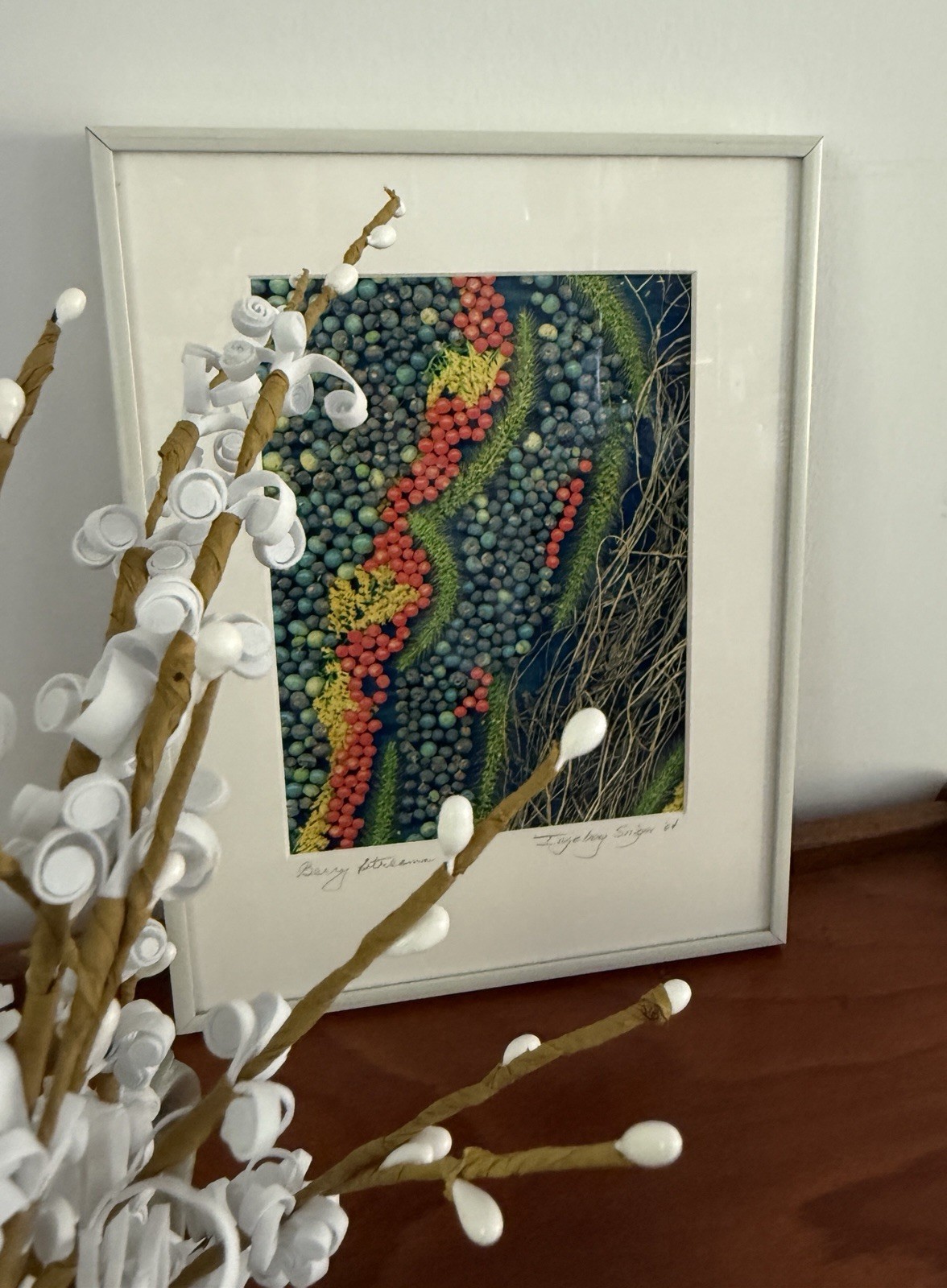 Signed Framed Botanical Berry Photograph Nature Wall Art Modern Colorful