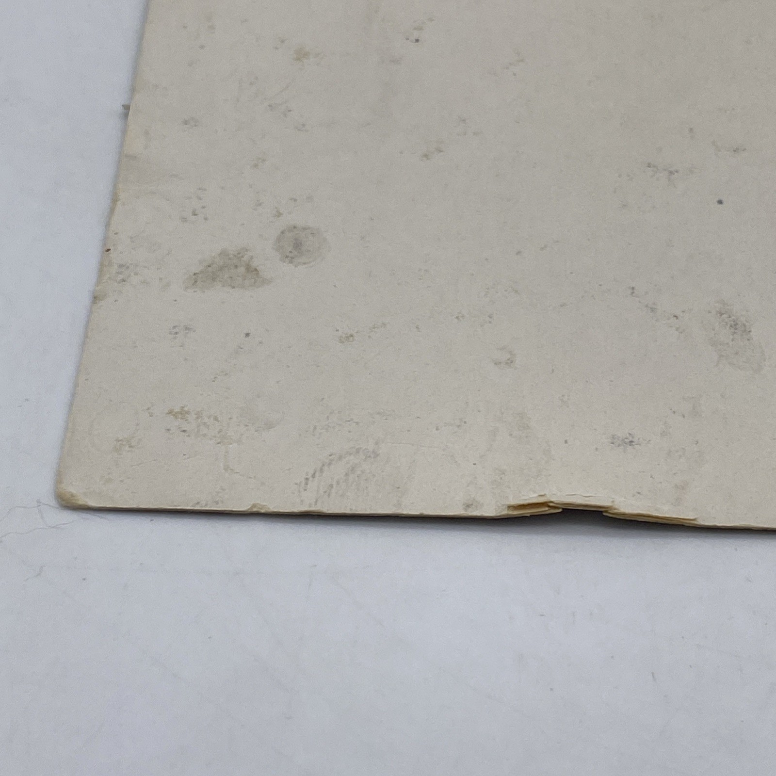 Merchants Publishing Kalamazoo Every Little Helps 1915 Antique Woman Cow Dog