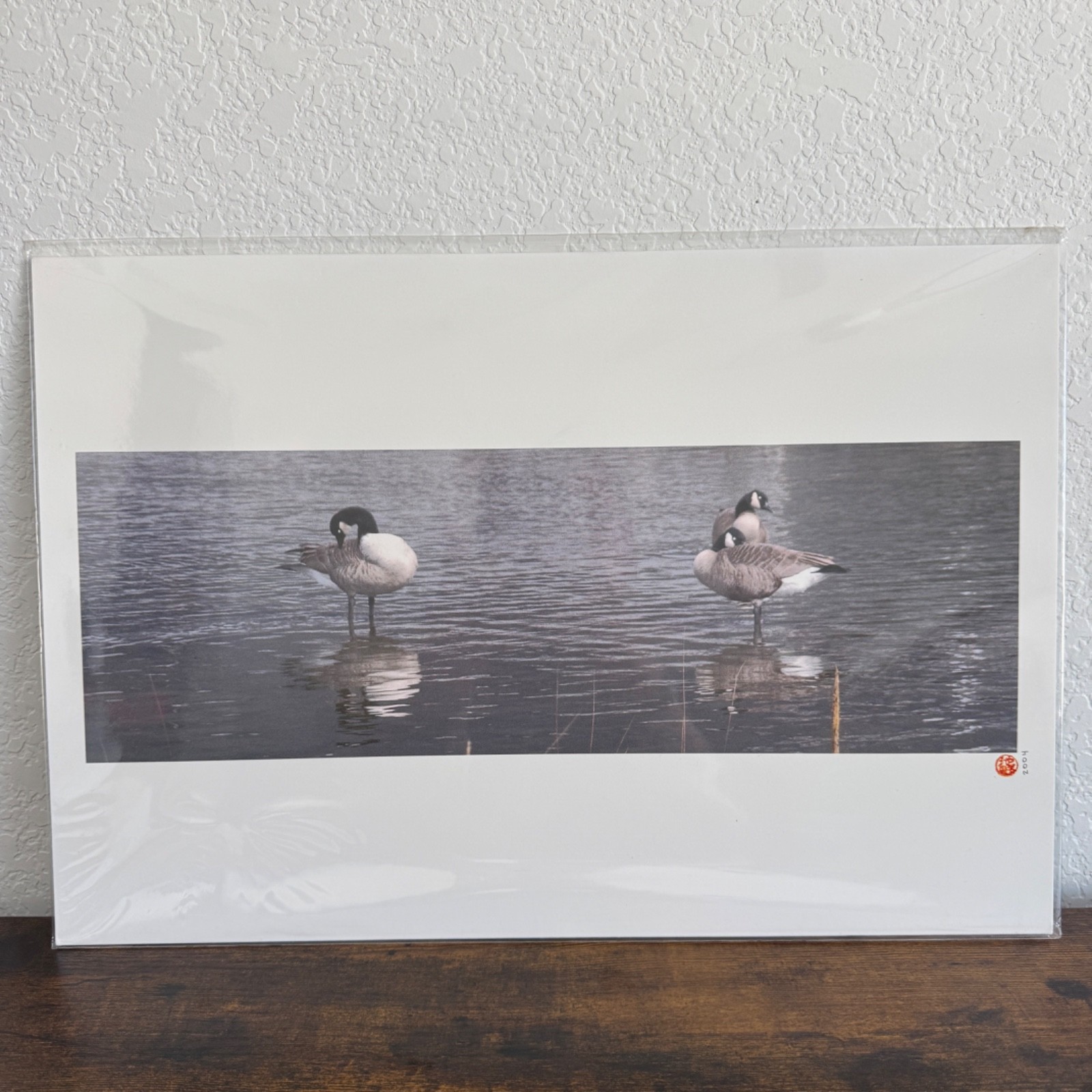 VTG Photography Art Print Ducks In The Water Sealed Packaging 19×13″