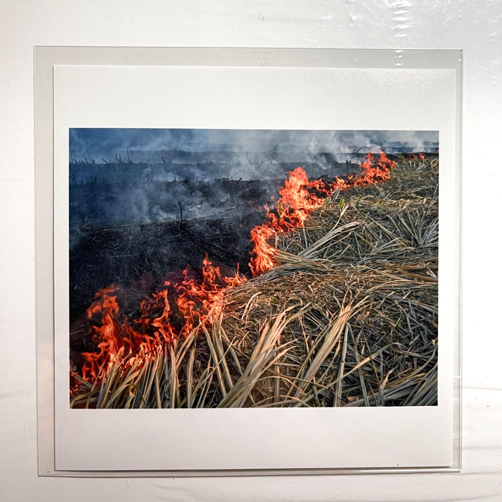 SIGNED GILLES PERESS FIRE LOUISIANA, 2016 MAGNUM 6″ SQUARE PRINT 2018 NEW