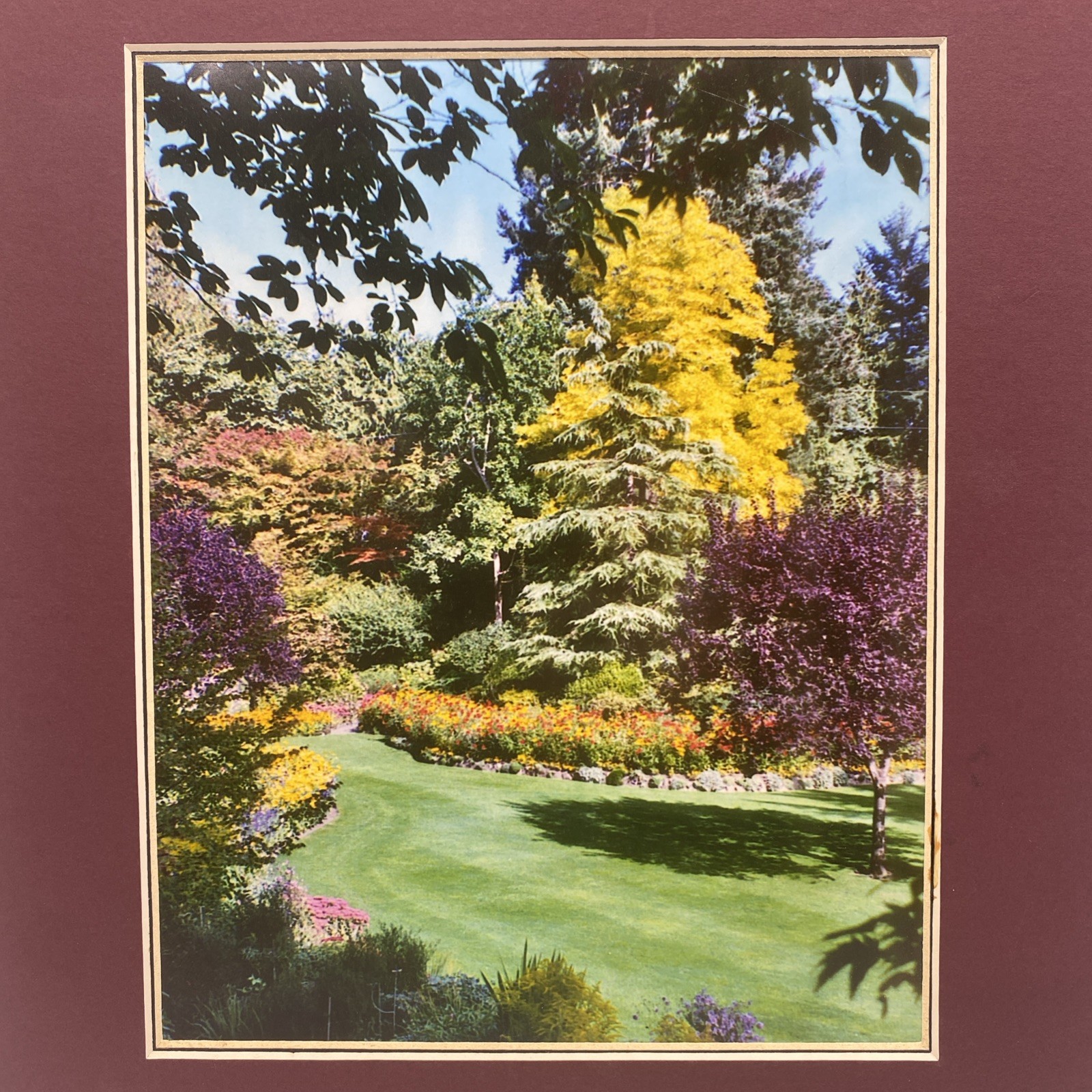 Matted Flower Garden Landscape Photo Print 11 X 14 Wall Art Gallery Decor