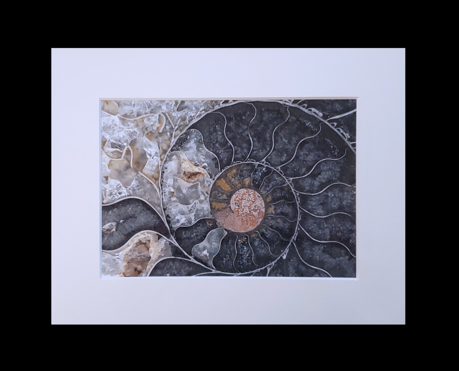 matted photograph, 5″x7″ print, mounted 3/16″ foam with 8″x10″ single white mat