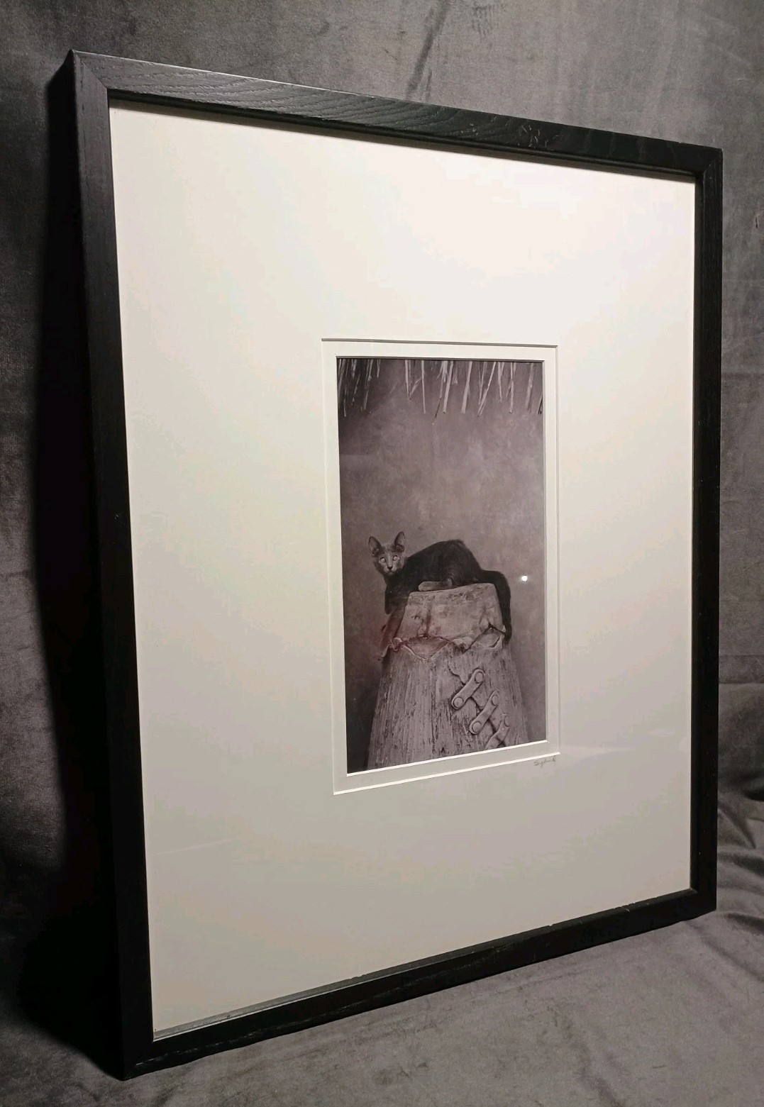 Sophisticated Kitty Cat Black & White Art Photography 17 X 21″ BERGLUND Signed