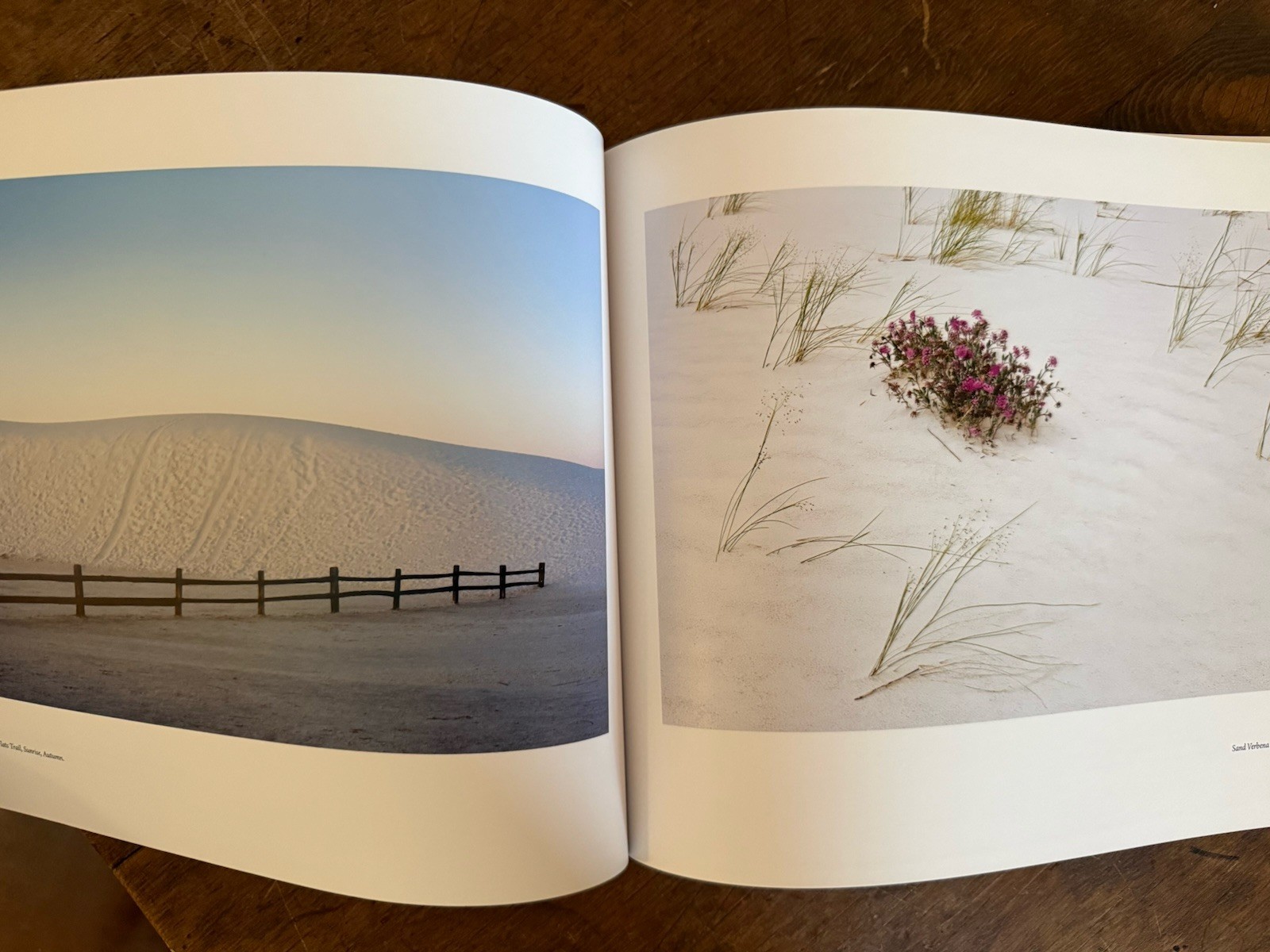 Into the Great White Sands: Photographs By Craig Varjabedian