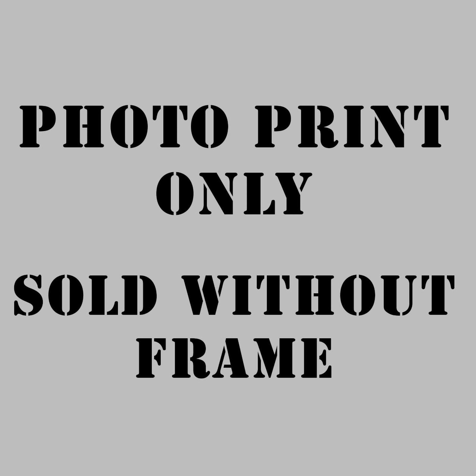 8×10 Fine Art Photo Print Leafcutter Ant Inside Raindrop Impossible Wildlife Pic
