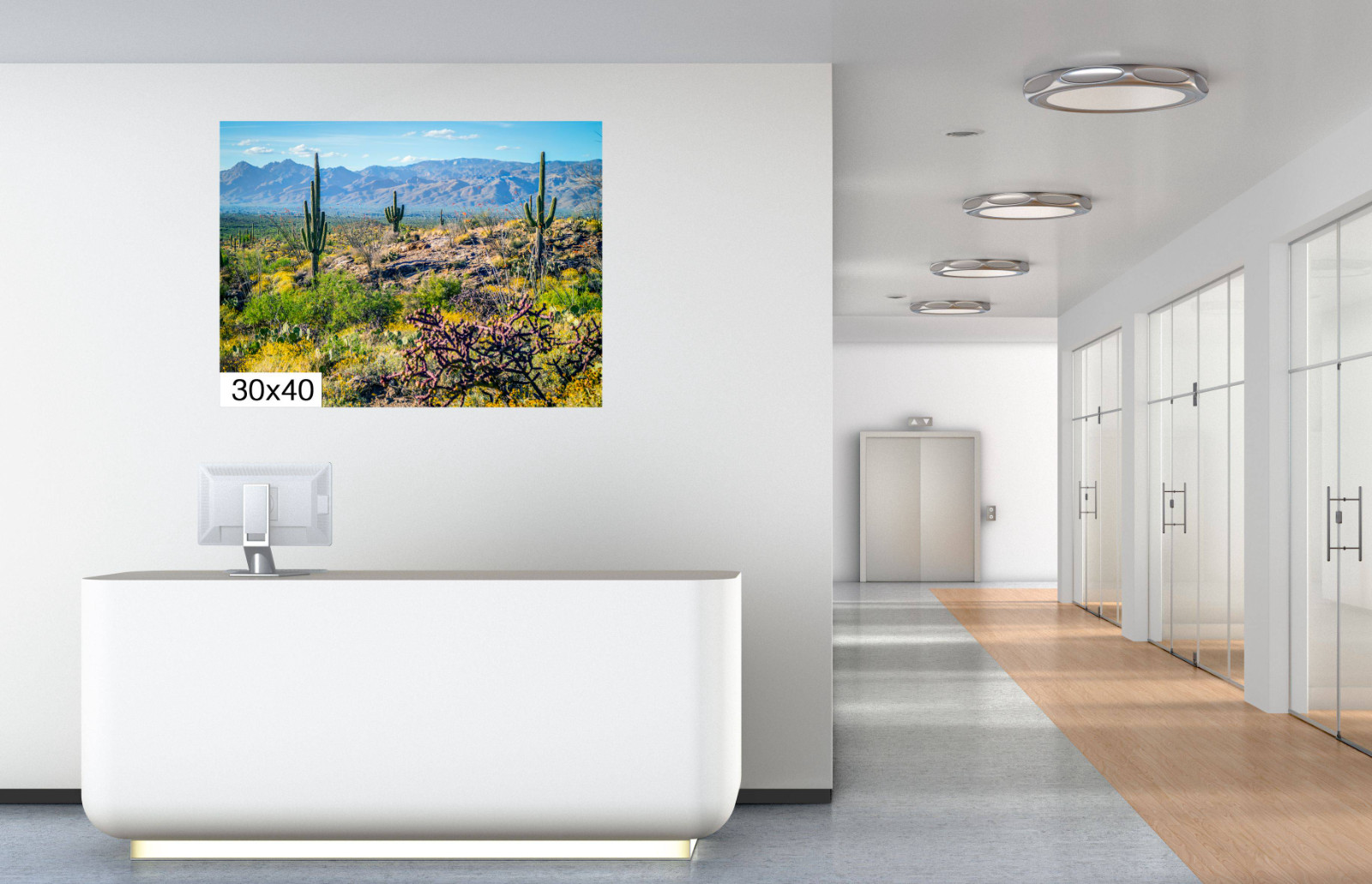 Desert Tapestry: Saguaro National Park East Arizona Cactus Desert Wall Art