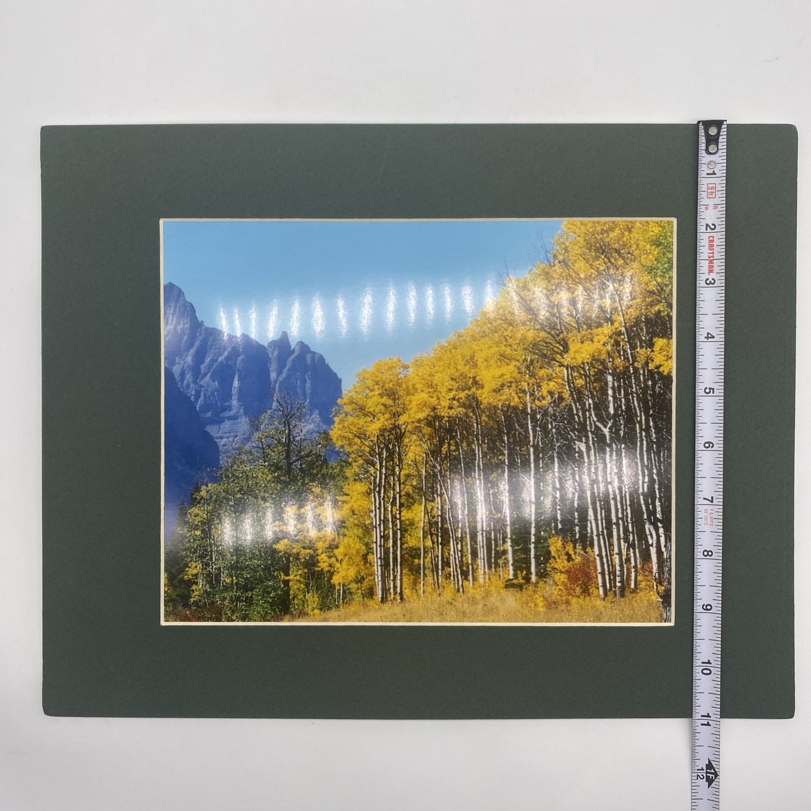 Matted Autumn Forest Landscape Photo Print 11 X 14 Wall Art Gallery Decor
