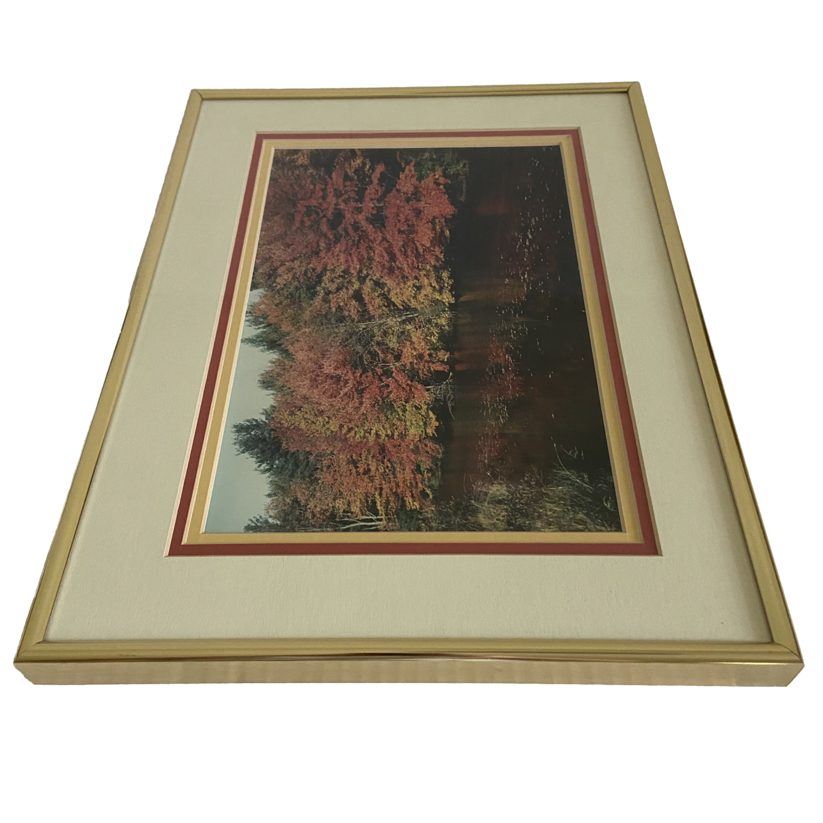 Art Photography Photo Autumn Picture Lake Matted Framed Fall Leaves
