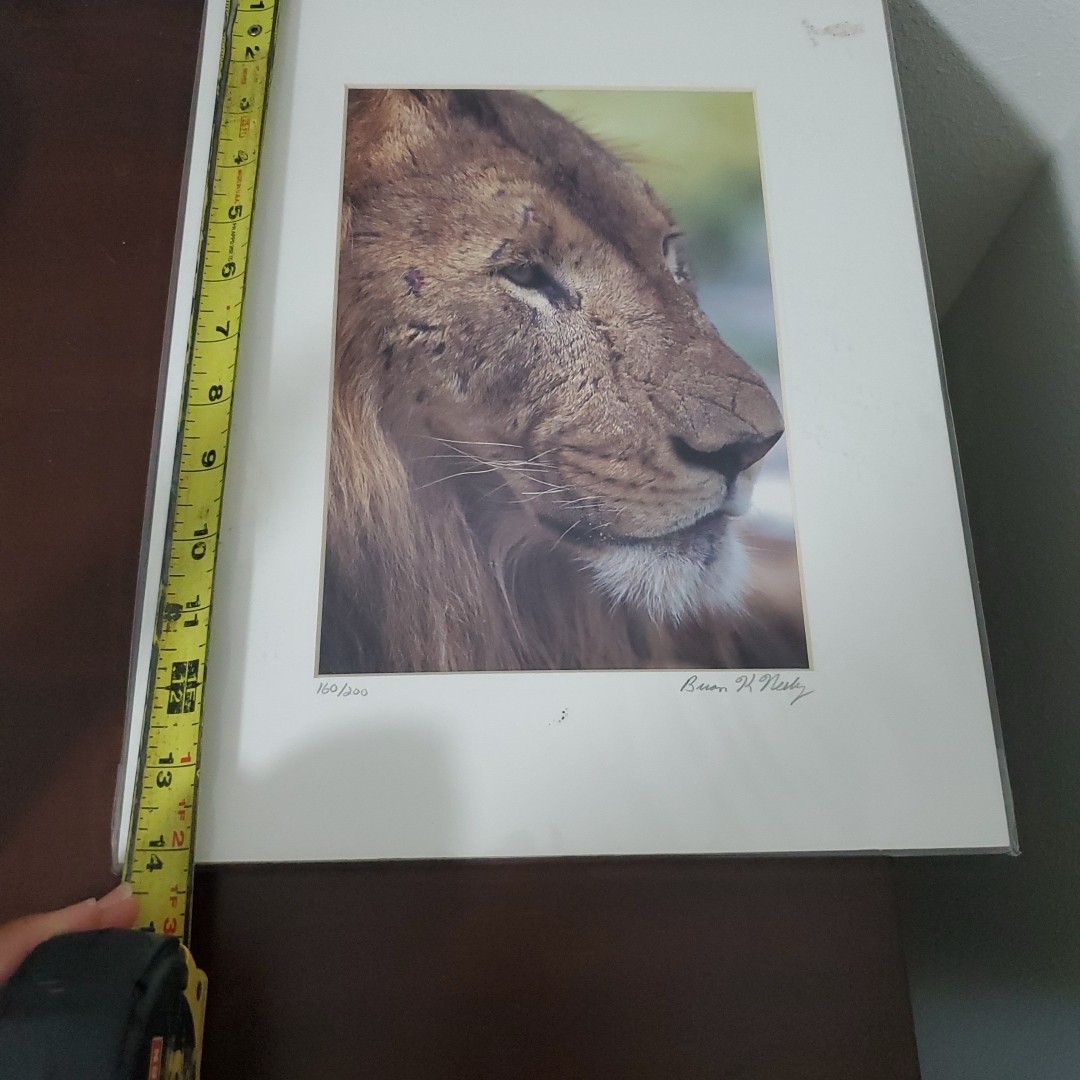 Brian K. Neely Photograph Of a Lion Signed 160/200 W Certification