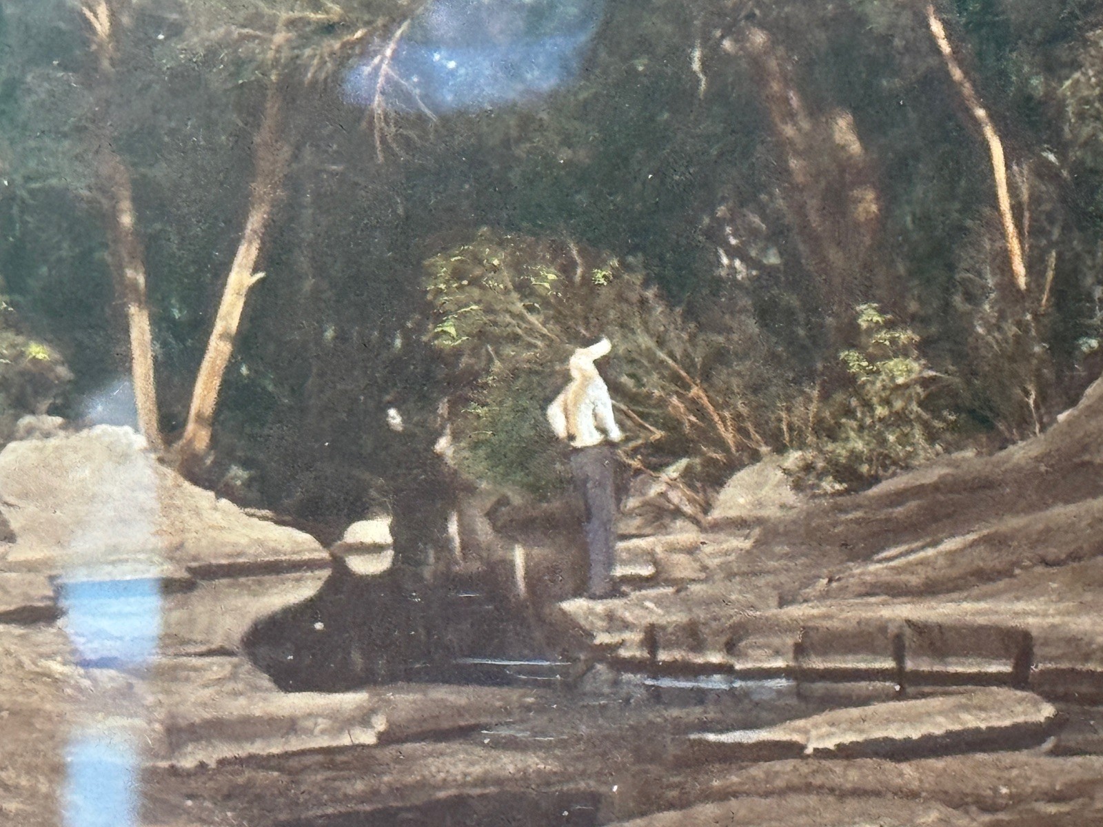 c.1900 Hand-Tinted Albumen Photograph Indigenous Landscape in Burr-Walnut Frame