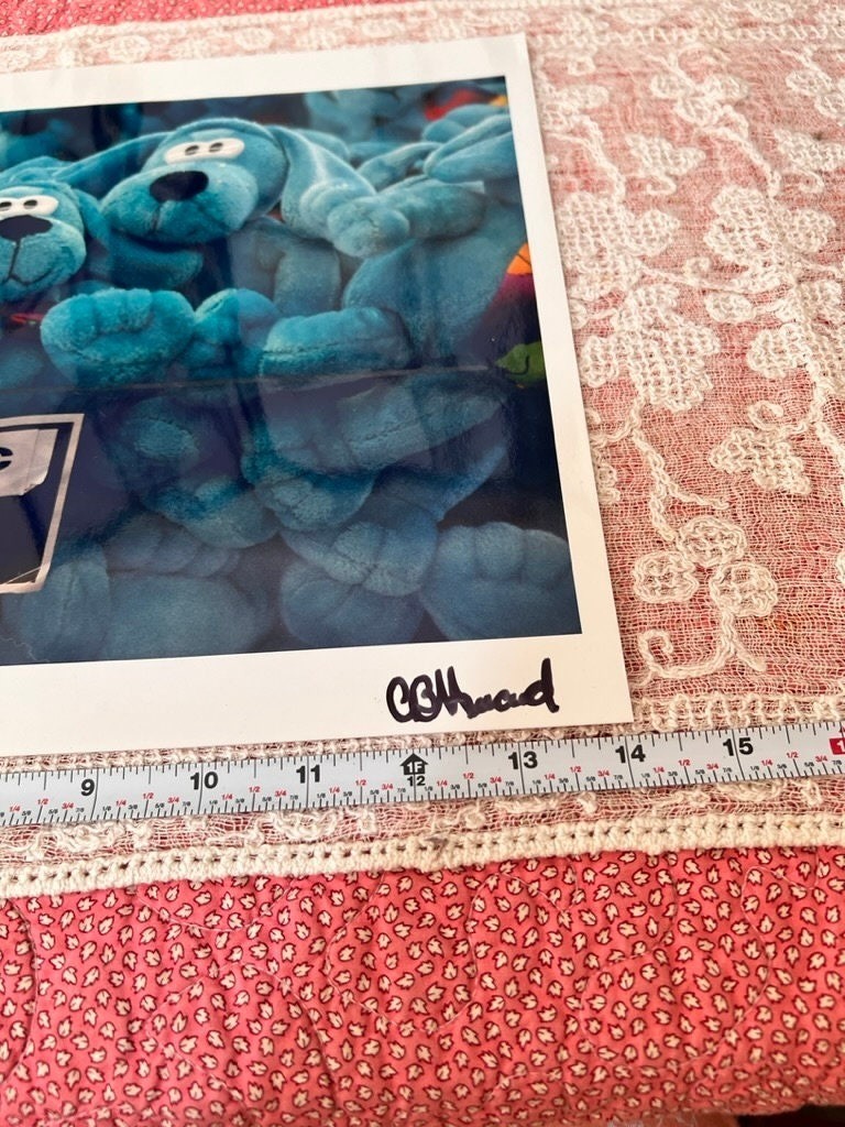 Blue Puppies Photo Print Original Art Photo Artist Signed 2001 11″ X 14″