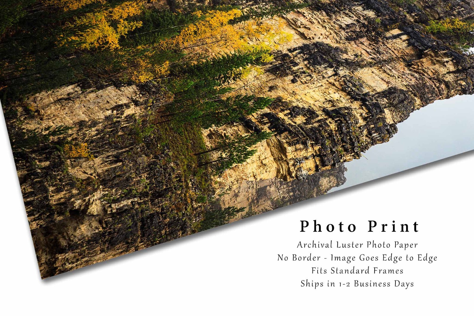 Spearfish Canyon Photography Print: South Dakota Black Hills Landscape Photo
