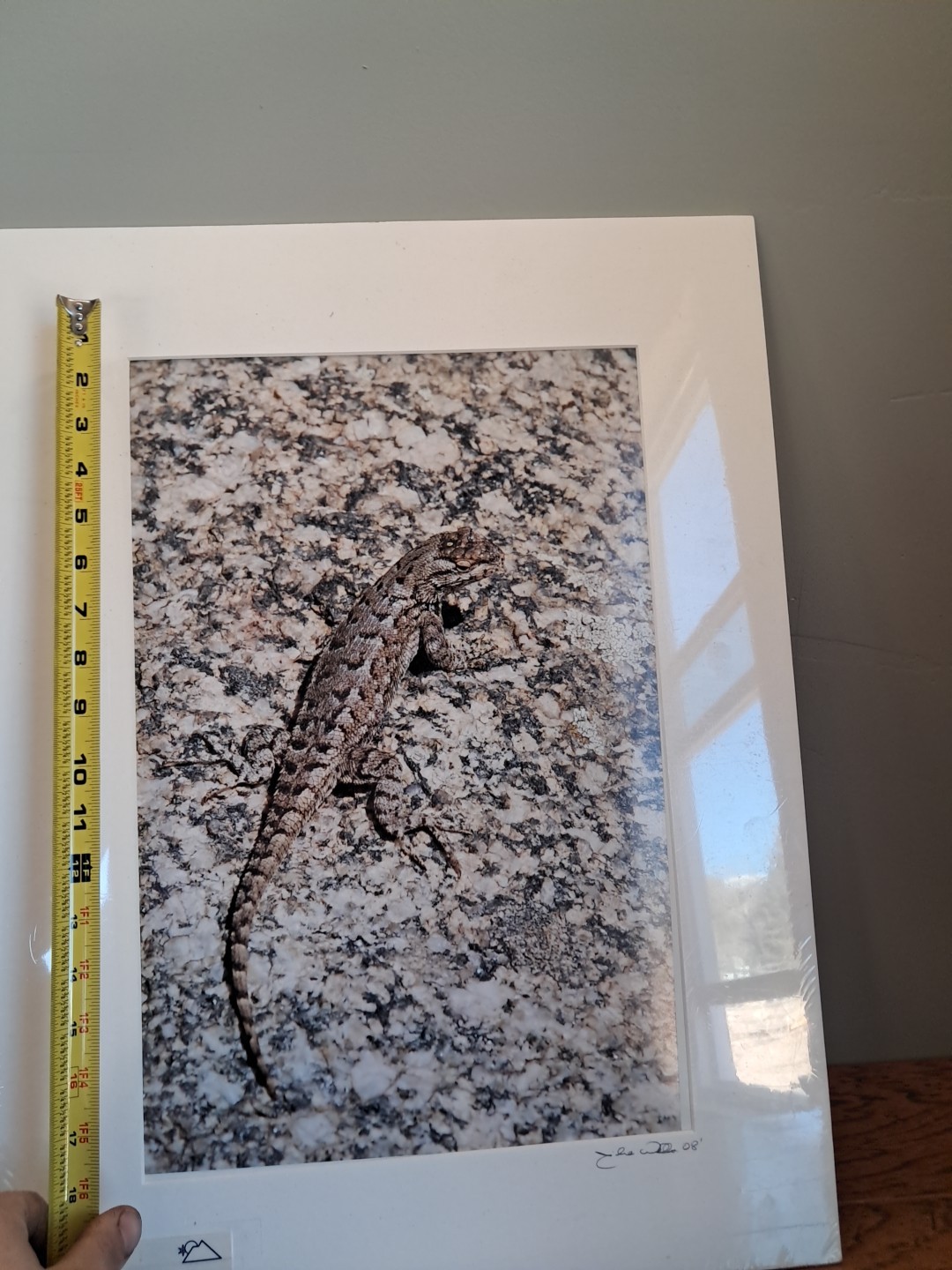 Mike Wells Lizard On Rock “Colorado Prairie” Signed Art Picture Photo