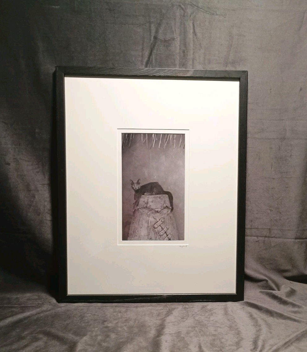 Sophisticated Kitty Cat Black & White Art Photography 17 X 21″ BERGLUND Signed
