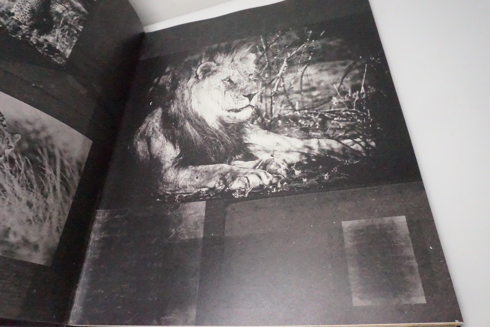 Peter Lik Photography Book B-Sides