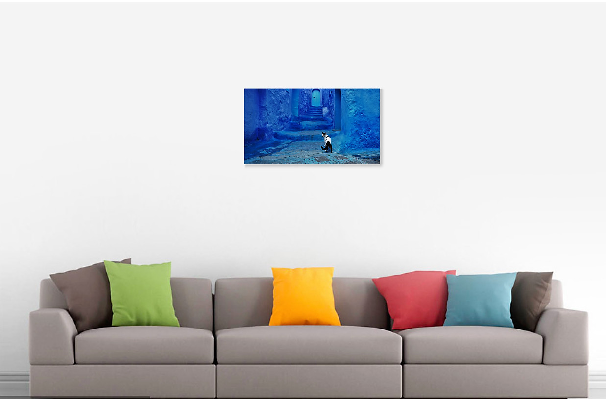 Cat in Blue City on Canvas – Morocco, Africa Travel Pets Dogs Wall Art 16X24