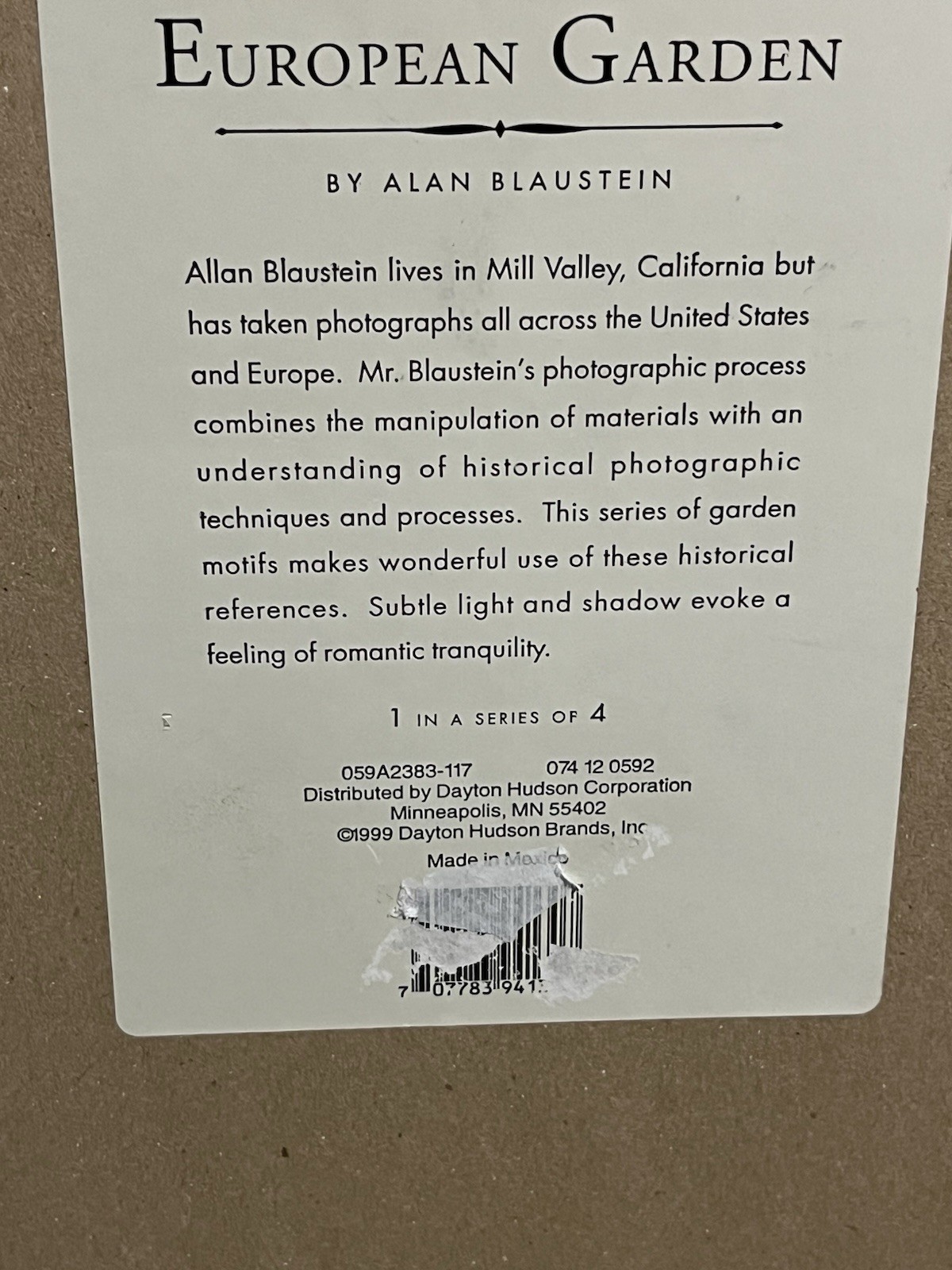 European Garden By Allan Blaustein Photography Framed With Glass 18 1/2 X 18 1/2
