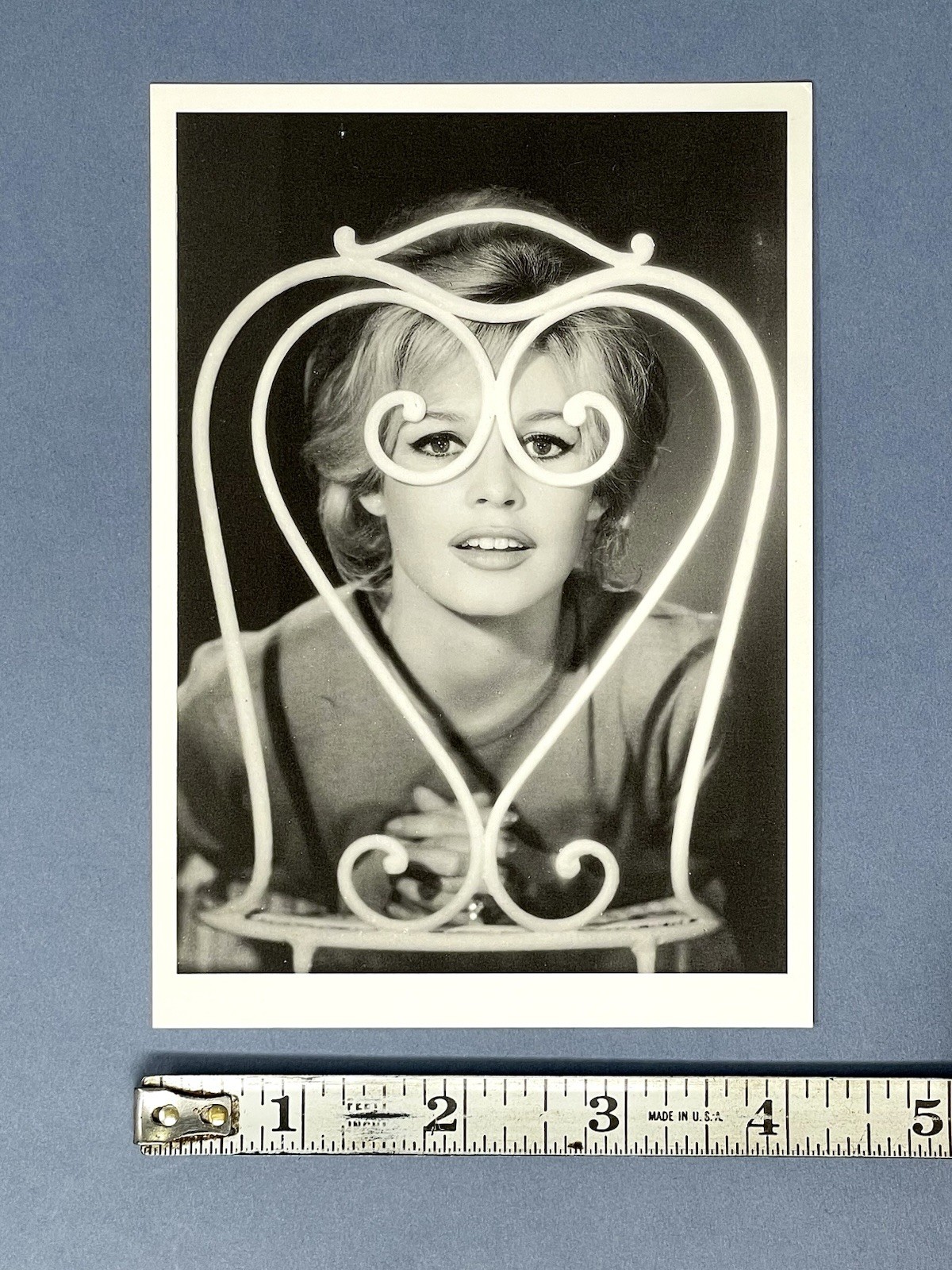 Brigitte Bardot Photo Art Print Csrd By Sam Levin 1988 Hazan