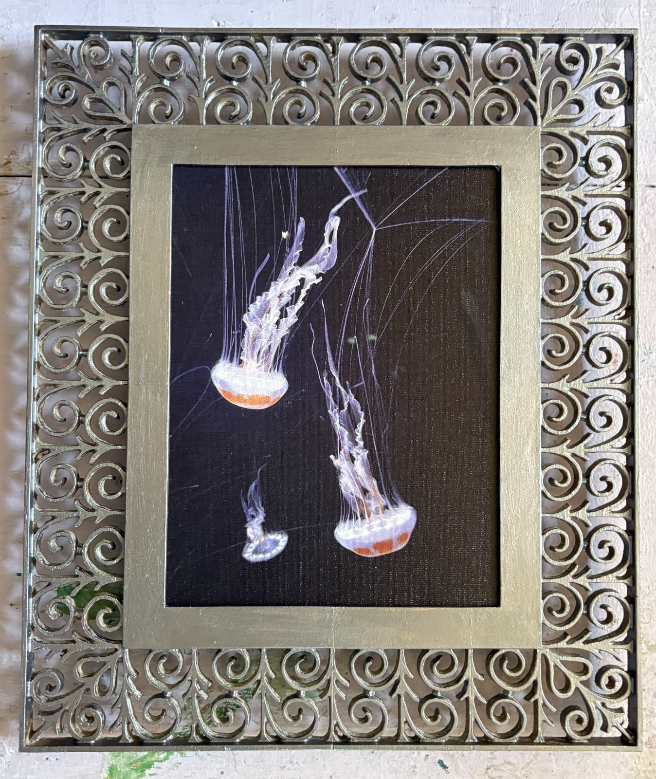 Jelly Fish, Original Photography, Canvas, Platinum Metal Framed