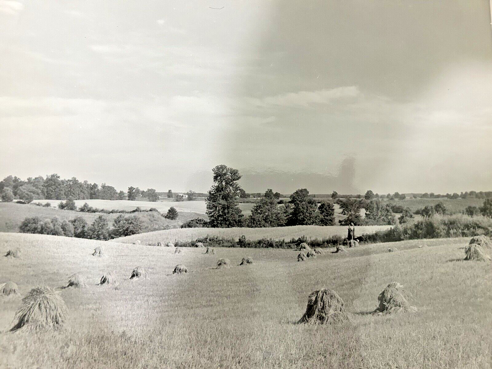 Arthur Gray Standard Oil Photographer Cleveland Ohio Americana Haystacks Monet!!