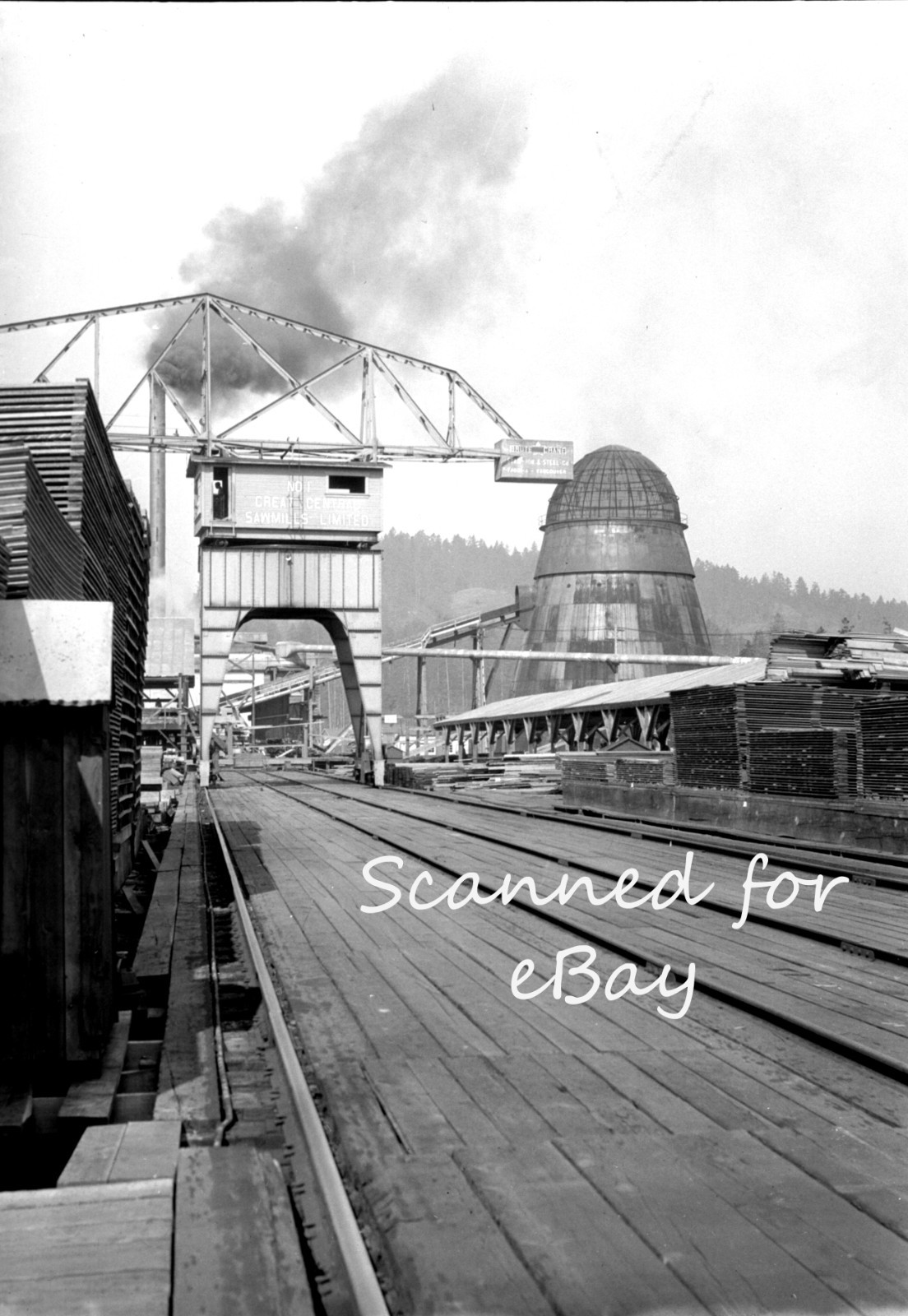 BRITISH COLUMBIA LOGGING CEMENT 1928 100 ORIG NEGATIVES IN ALBUM CANADA PEOPLE