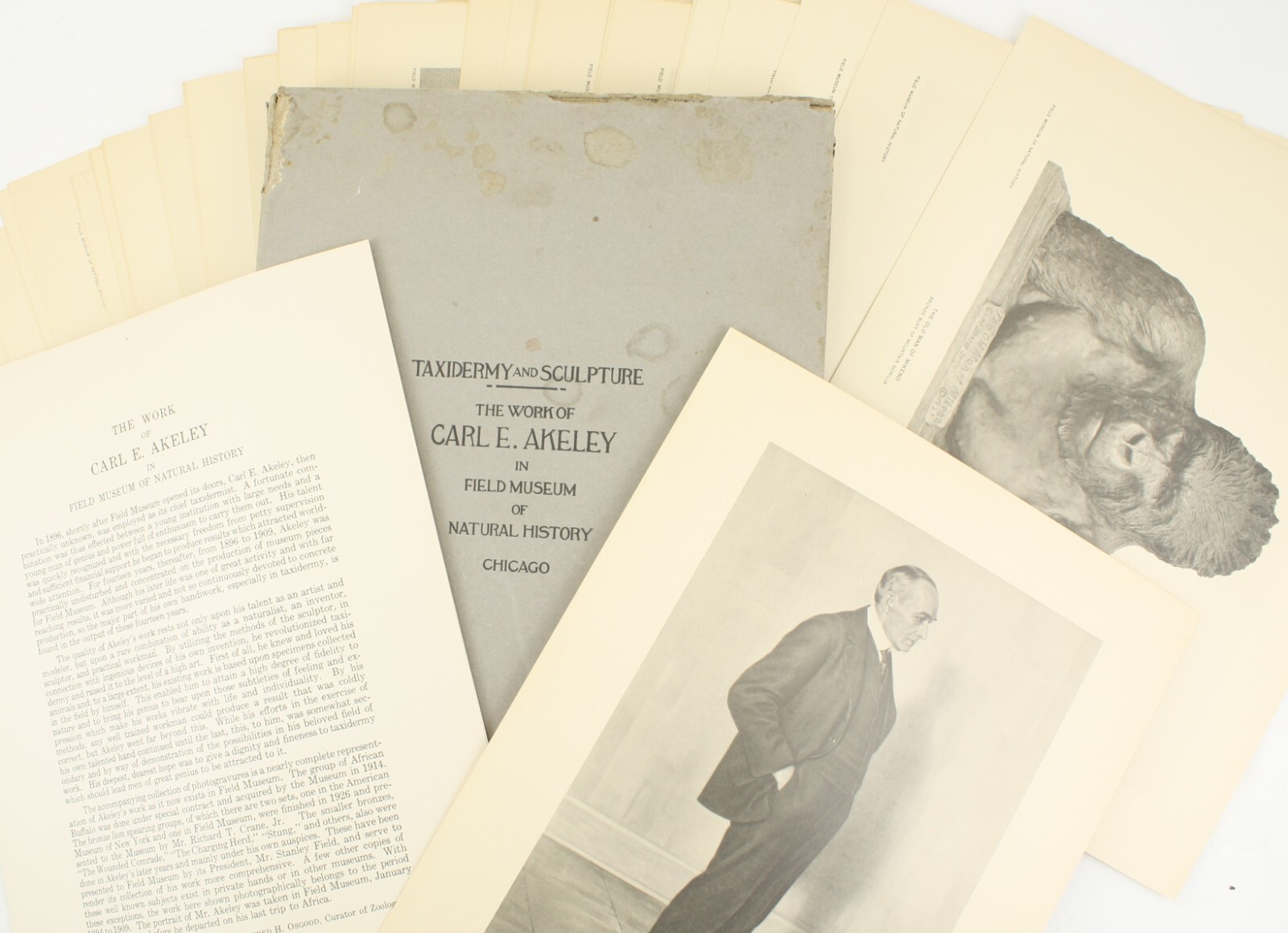 1927 Carl Akeley Photo Set Field Museum Natural History IL Taxidermy & Sculpture