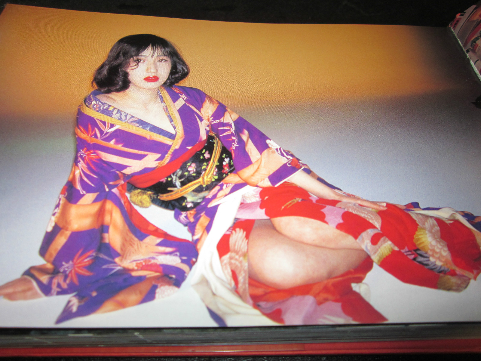NOBUYOSHI ARAKI Syakyojin iro nikki 1993 1st. edition Japan very Good very rare