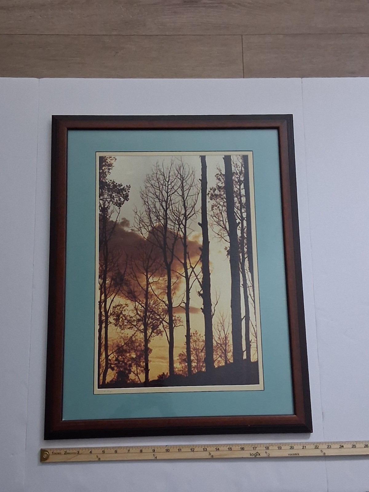 Framed Limited Edition Photograph — Sunset Silhouette Forest — Signed & Numbered