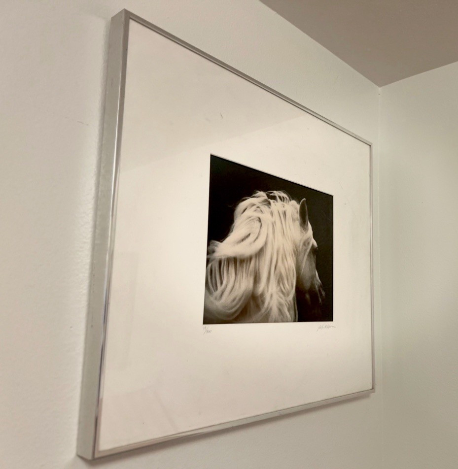 Robert Vavra Black & White Horse Photo Print Signed #6/300 Framed Matted