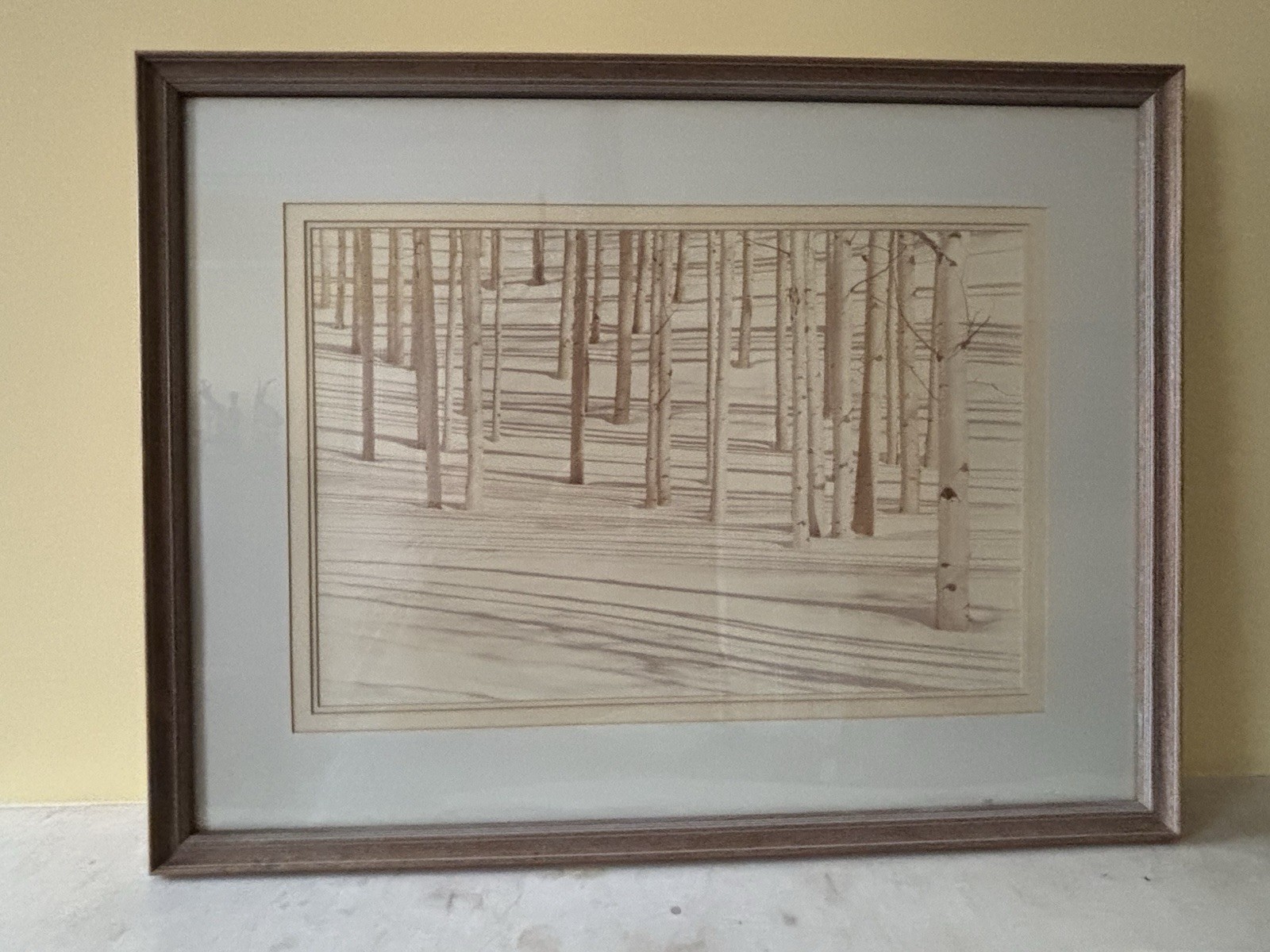 HUGE Signed Sepia Photograph 42″ x 32″ – Birch Trees in Snow by William Plante