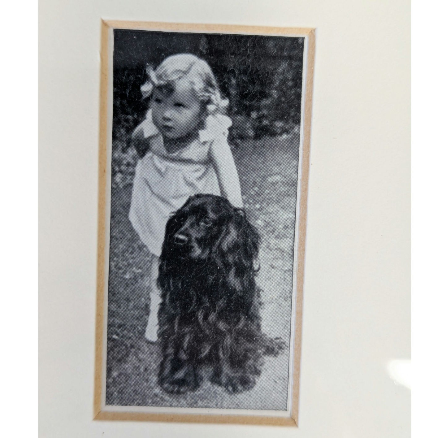 Vtg Cocker Spaniel Photos Framed Dogs and Friend Black White Lady Kitty Ritson