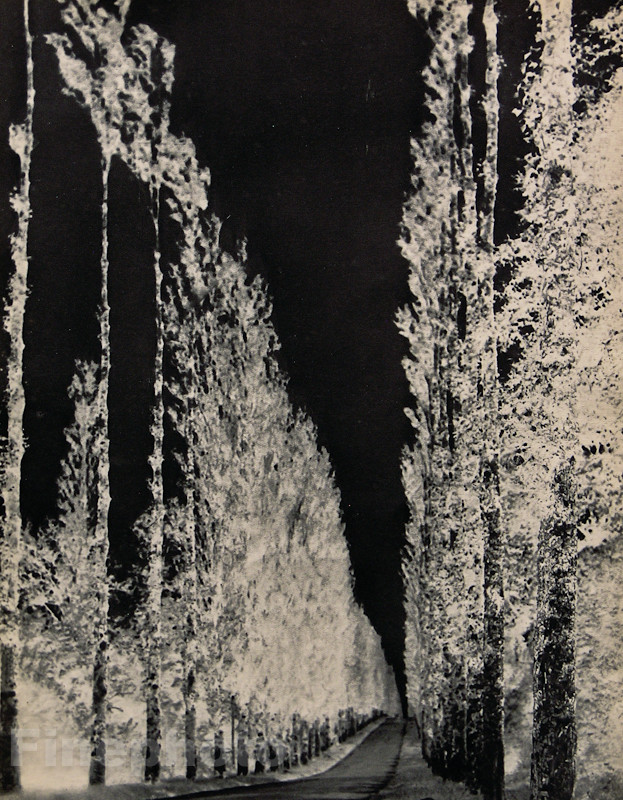 1931 Original MAURICE TABARD Surreal Negative Abstract Landscape Photo Gravure
