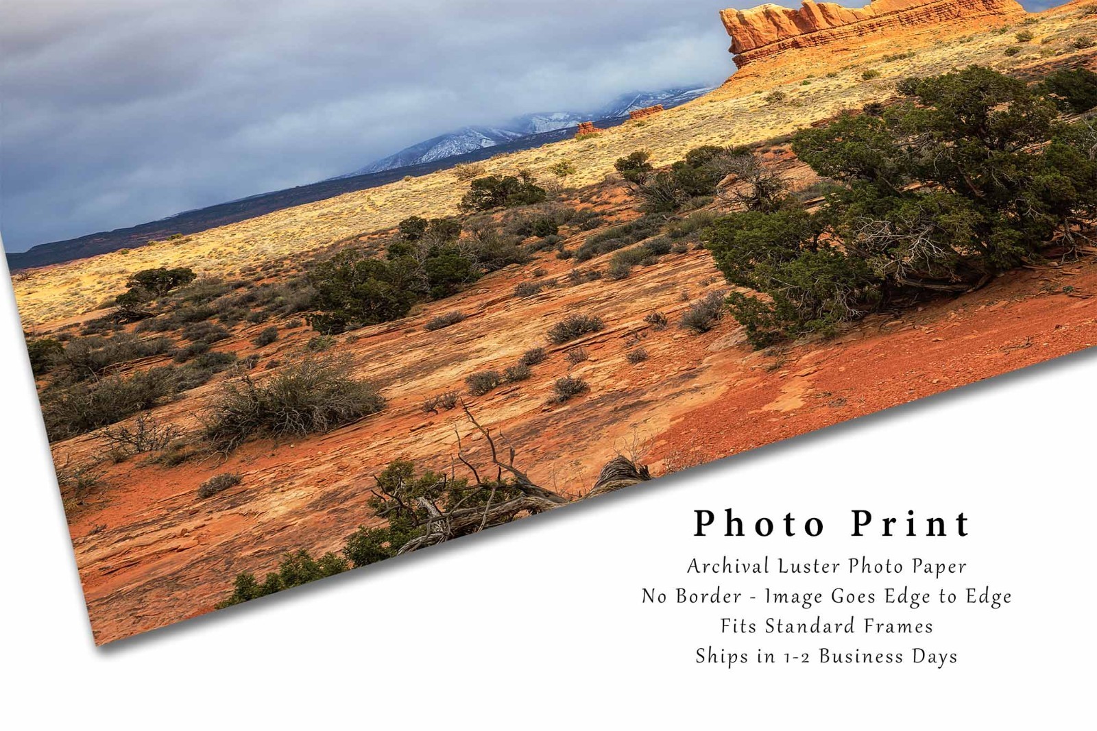 Arches National Park Photography Print: Moab Utah Desert Landscape Photo