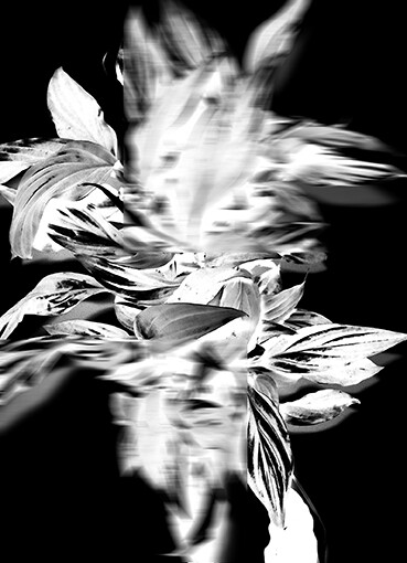 Author’s Photo – MOTHER NATURE ’21 Abstract in Black Passe-Partout 18x24cm